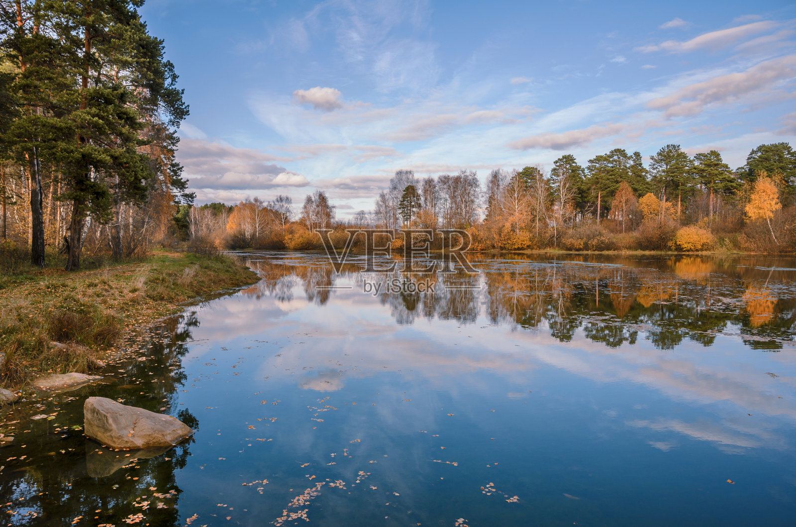 森林湖的秋天,白桦树上黄色的叶子,风景如画的海岸和蓝天上柔软的云。照片摄影图片