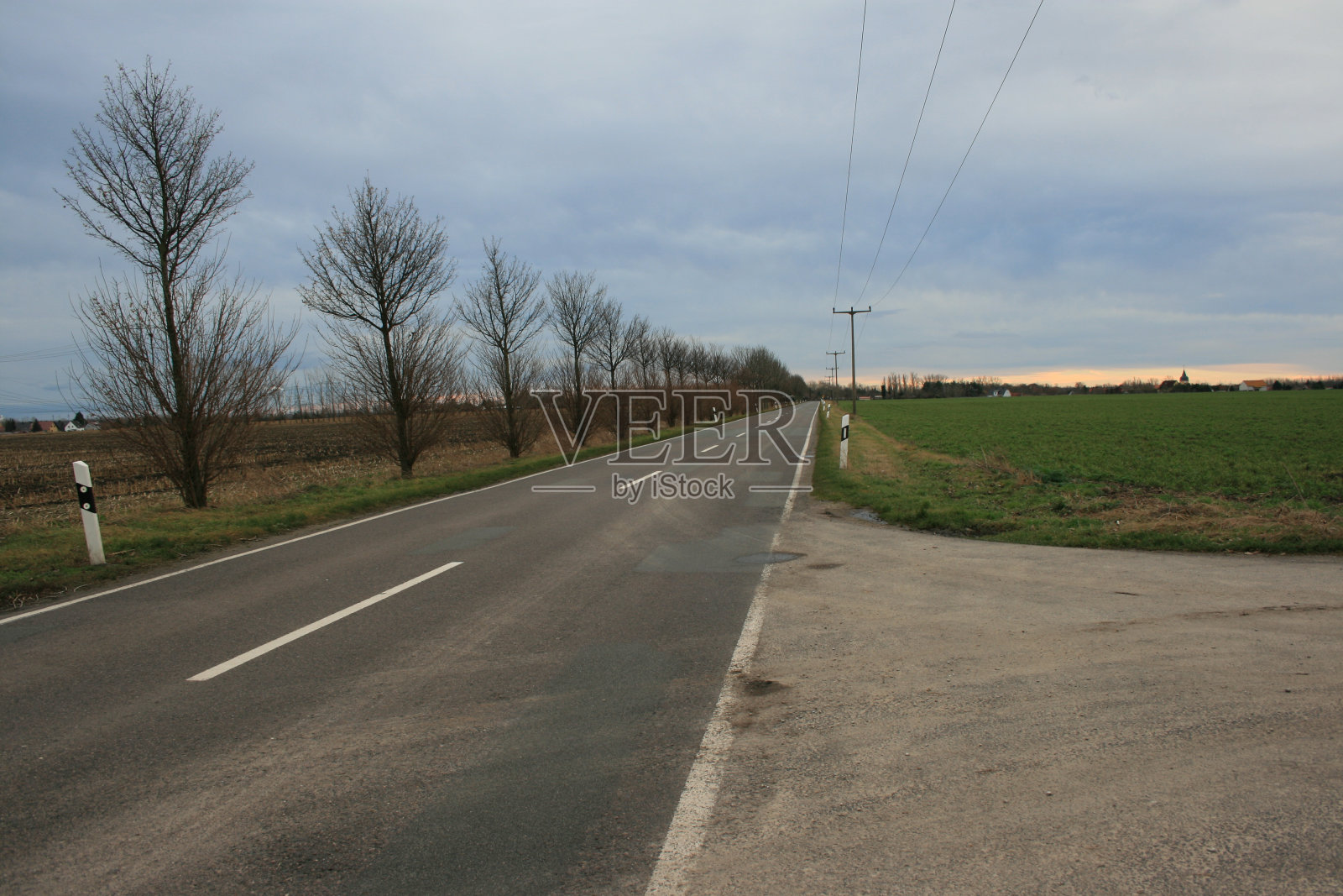 长着树的路照片摄影图片