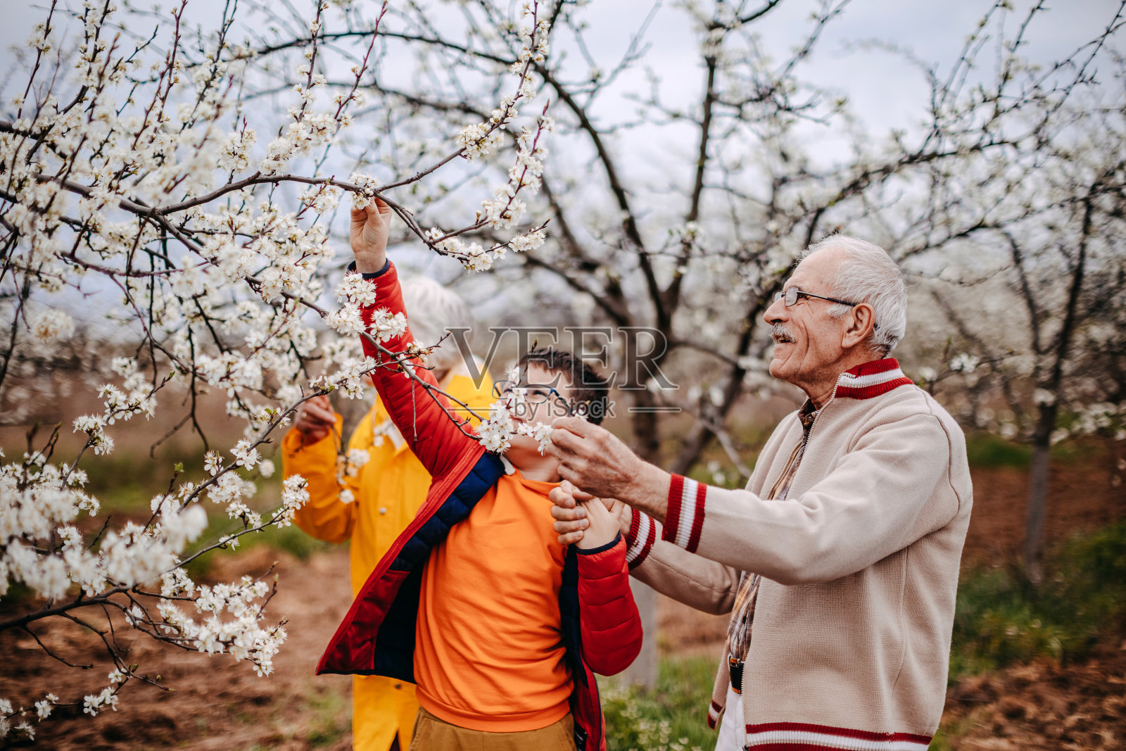 老人与孙子共度时光照片摄影图片