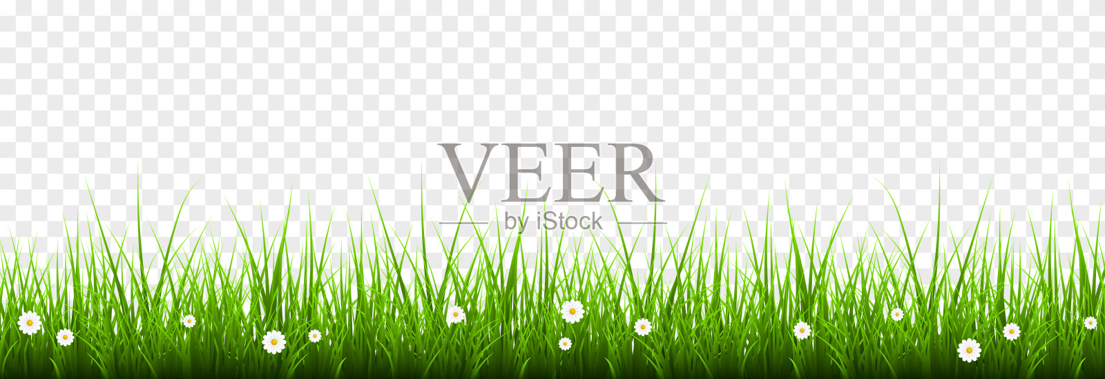 向量年轻的草。草坪,草与花在一个孤立的透明背景。背景,草。插画图片素材
