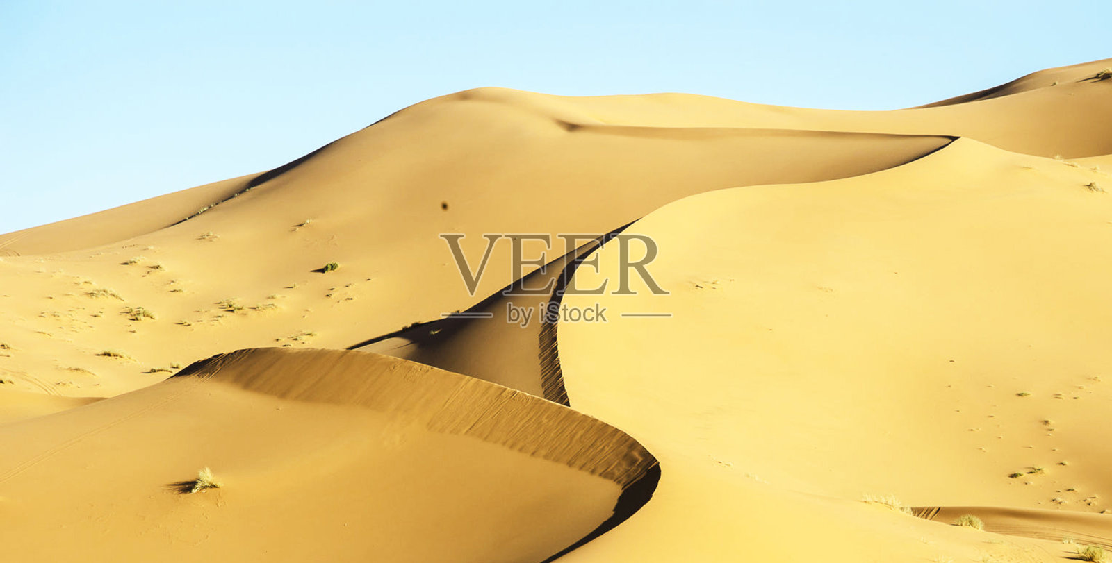 摩洛哥Erg Chebbi的美丽照片照片摄影图片