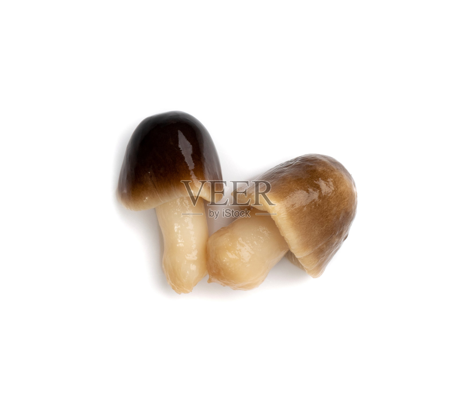 分离的腌草菇照片摄影图片