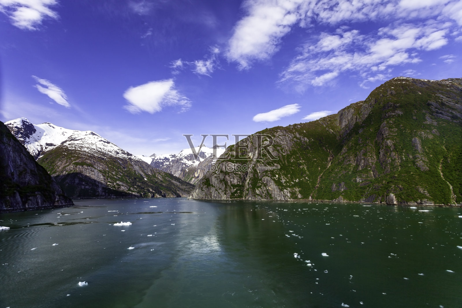 这是从我们的游轮上看到的阿拉斯加朱诺附近的特蕾西海湾。在美丽的天空下,我们穿过白雪皑皑的山脉,美丽的绿色森林,当我们航行穿过峡湾时,冰山从我们身边滑过。照片摄影图片