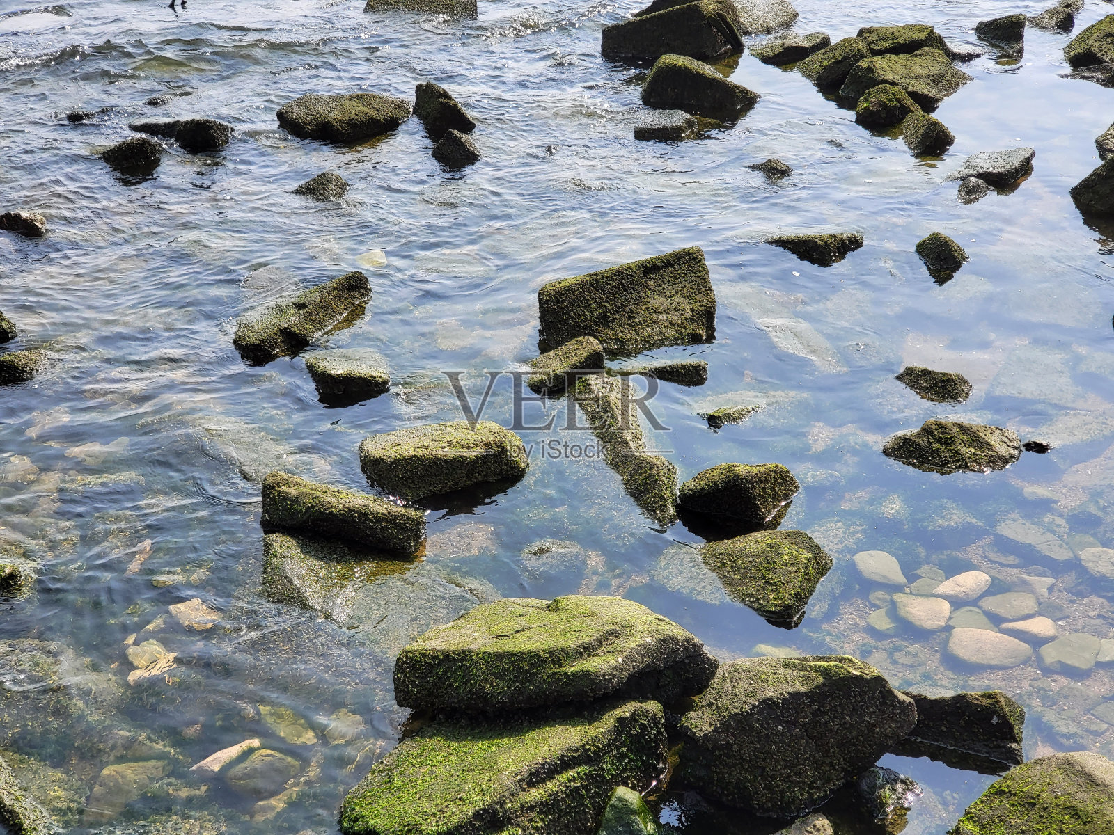 安静的海照片摄影图片