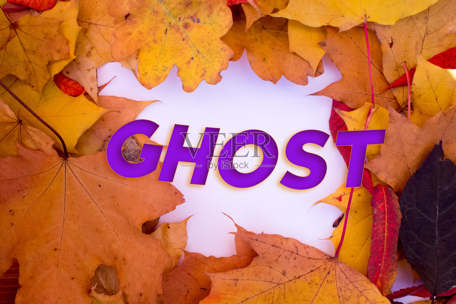 秋日落叶,物以鬼文。图案自然,色彩设计。照片摄影图片