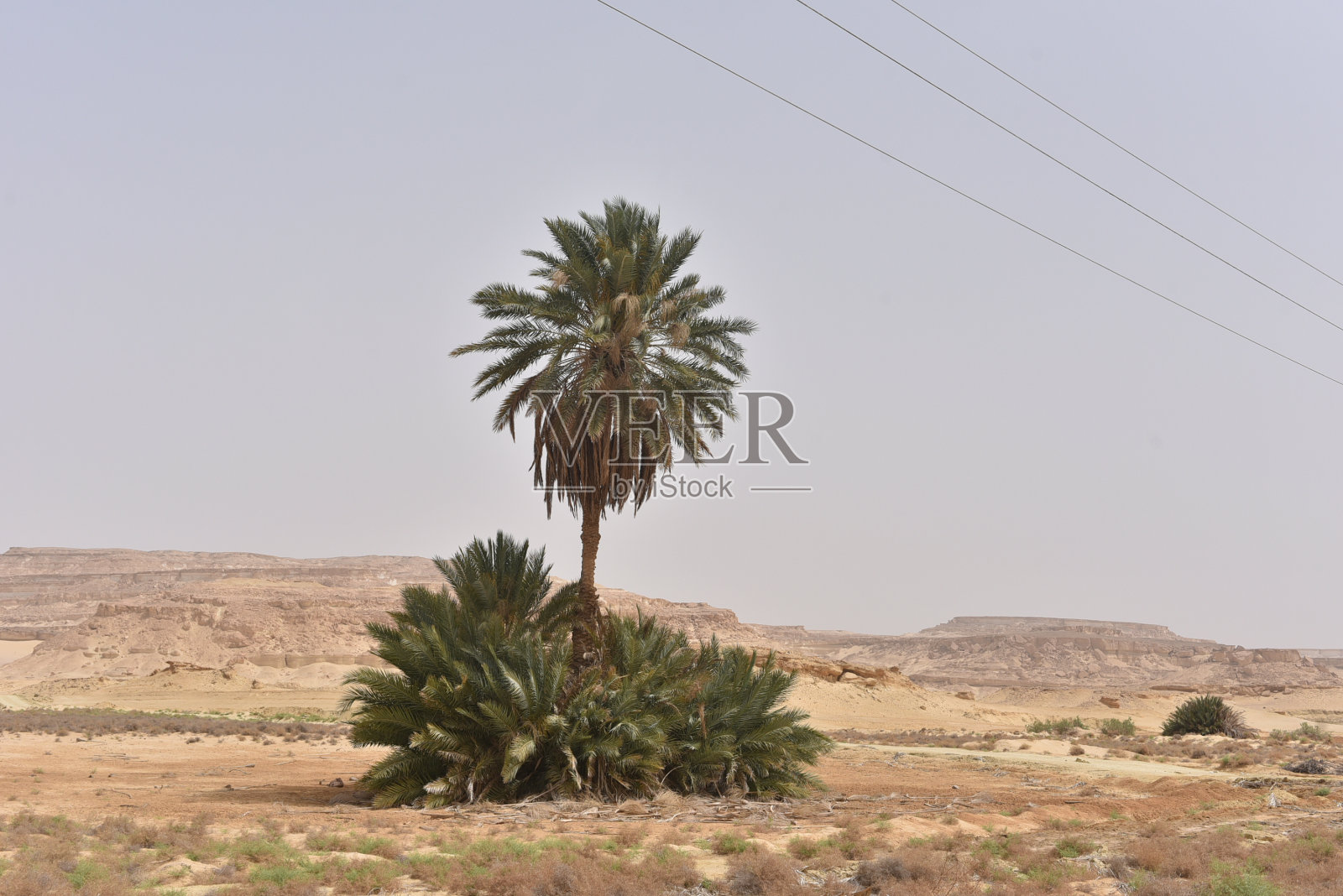 锡瓦绿洲墓地照片摄影图片