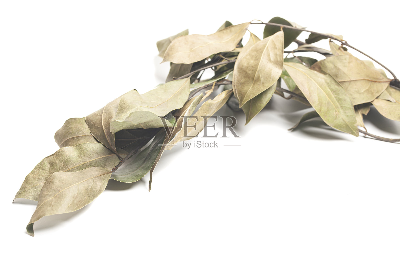 干燥的月桂叶孤立在白色上。干月桂叶调味料照片摄影图片