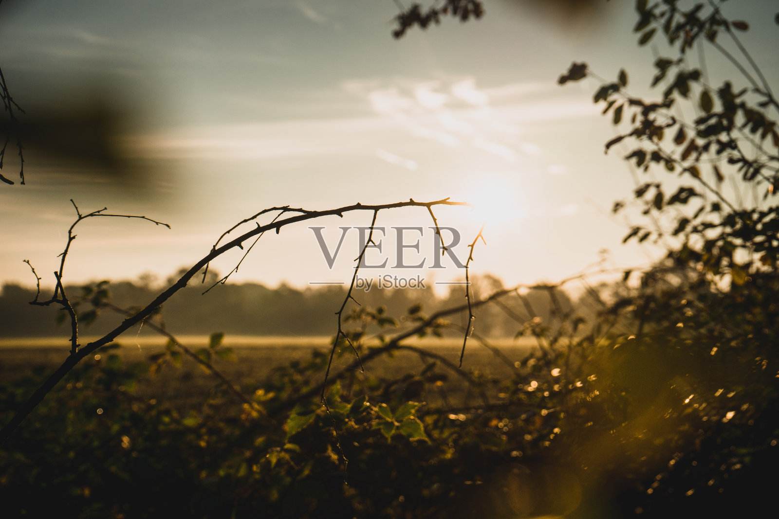 多云天空下的美丽风景照片摄影图片