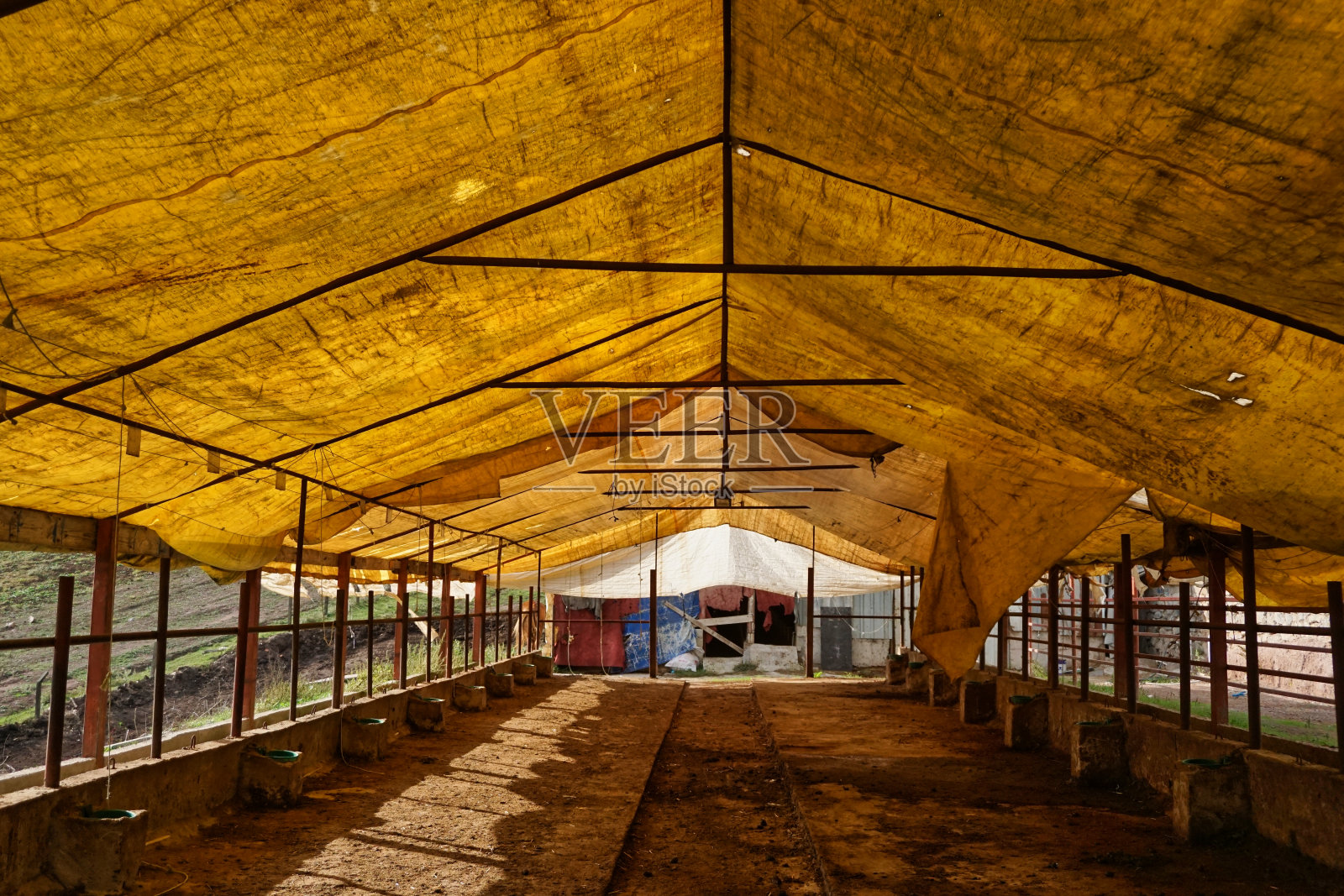 牛喂食器,空无一物,上面盖着黄色帐篷照片摄影图片