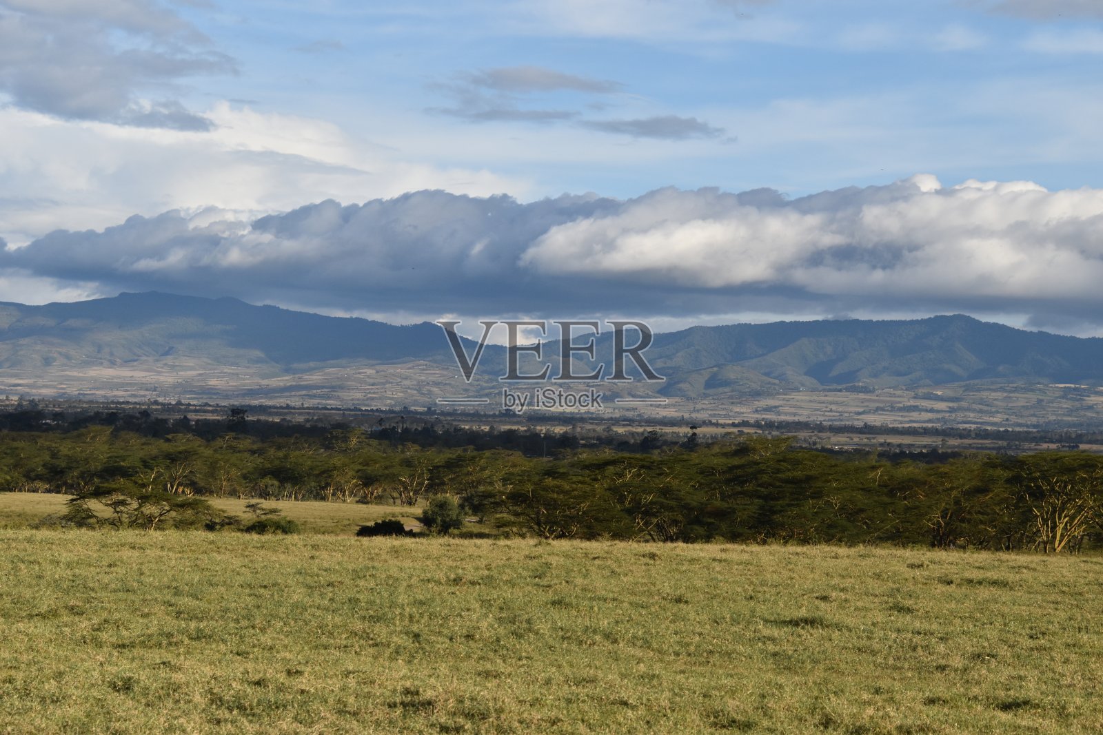 纳库鲁湖国家公园照片摄影图片