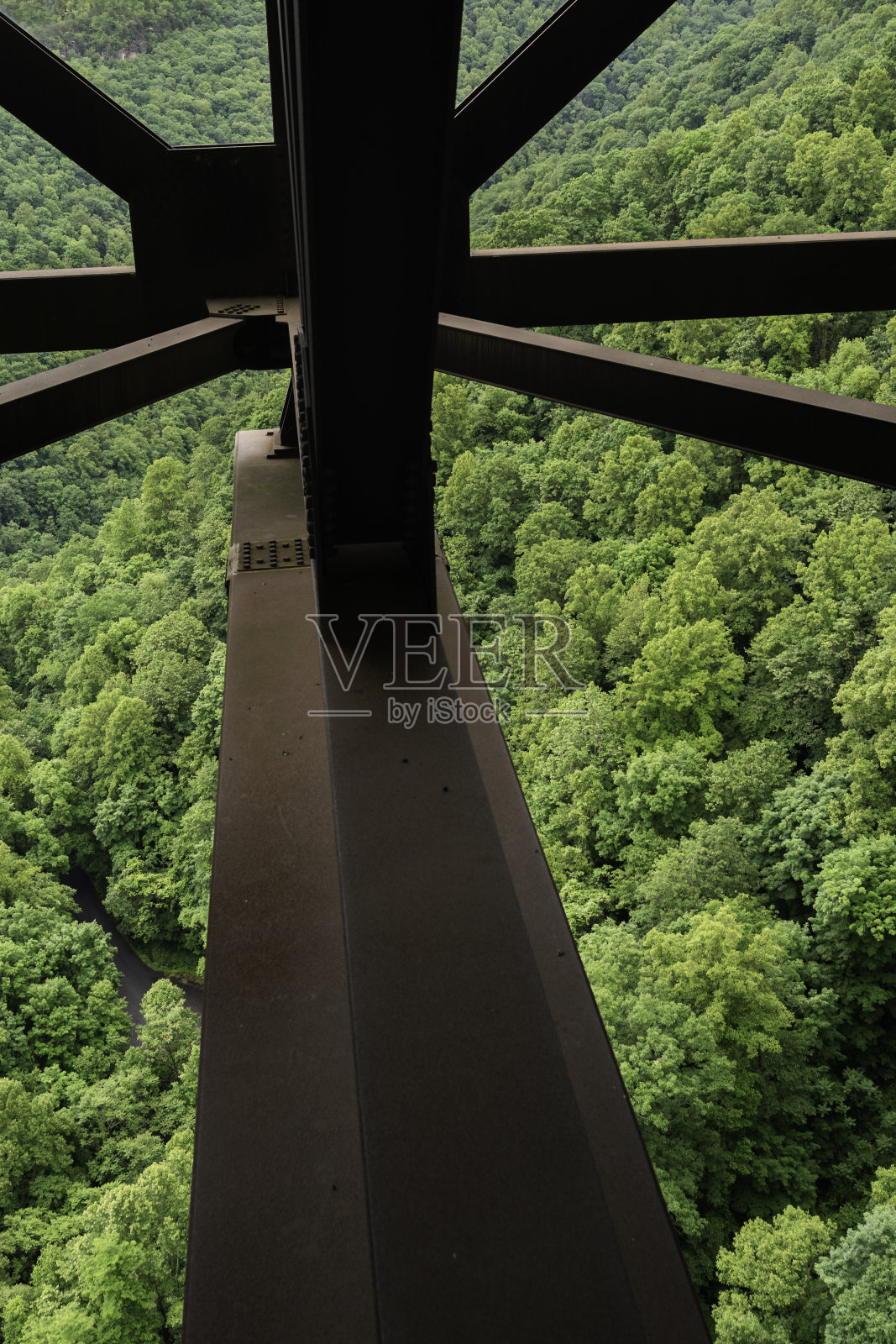 抽象的线条照片摄影图片
