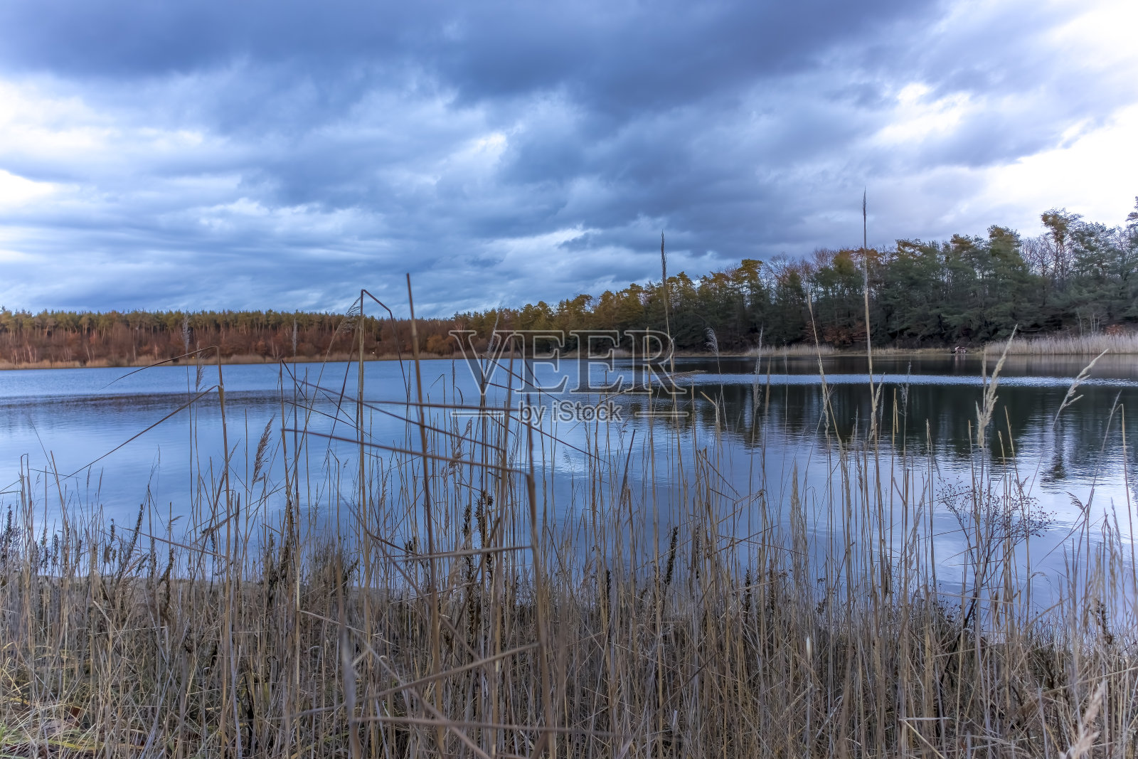 秋天阳光明媚的一天,德国有一个美丽的小湖,叫做奥伯瓦尔德湖,水中反射着五彩缤纷的森林。照片摄影图片