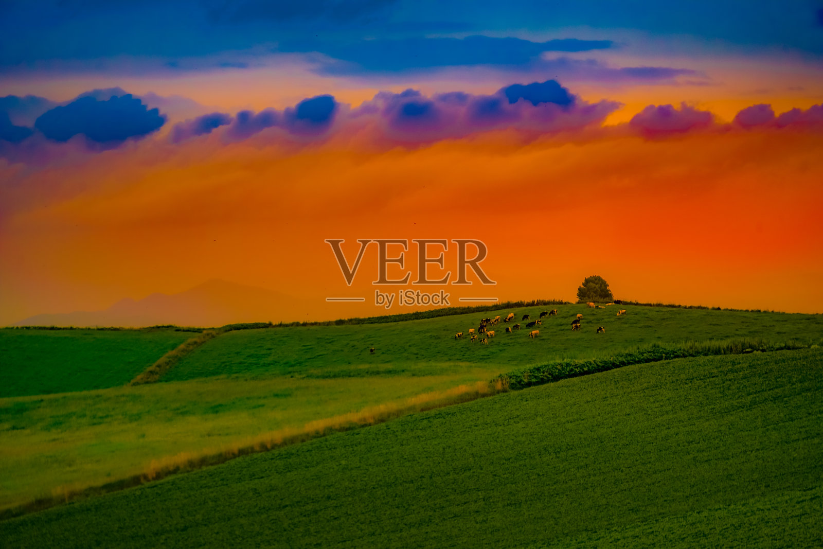 碧丘的自然和黄昏照片摄影图片