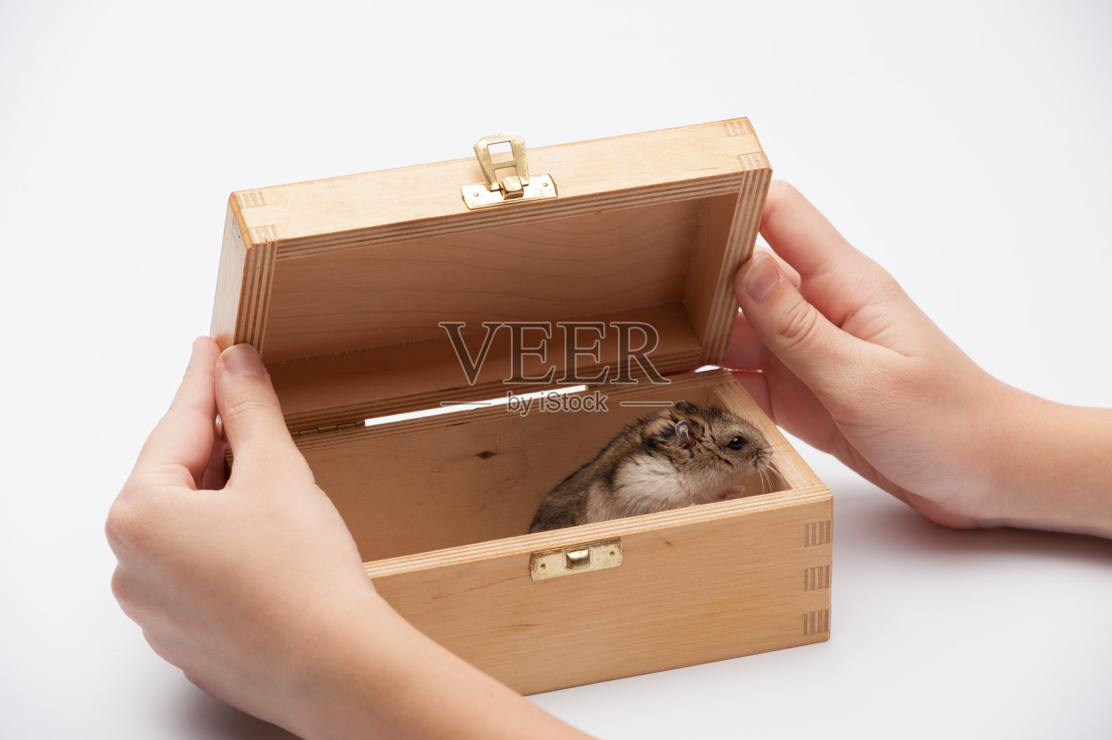 礼物盒里的惊喜照片摄影图片