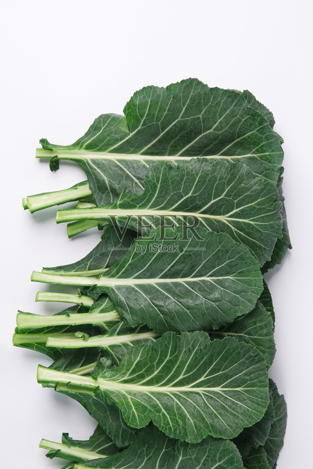 羽衣甘蓝照片摄影图片