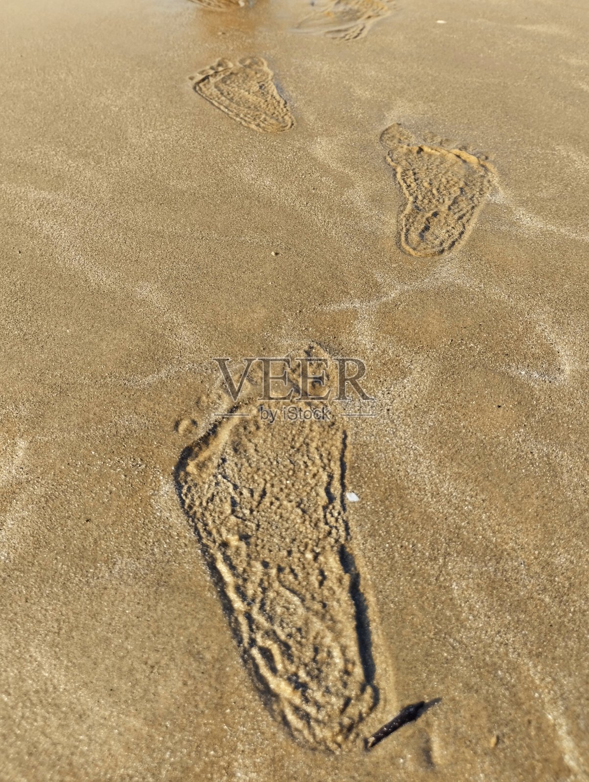 海滩上的小脚步声照片摄影图片
