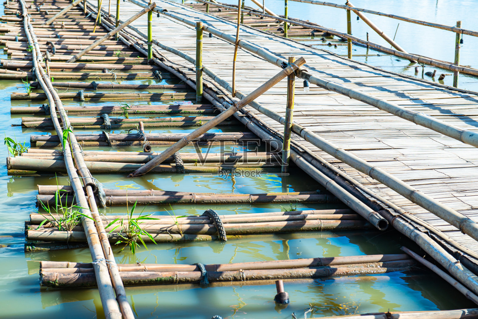 关帕姚湖的竹桥照片摄影图片