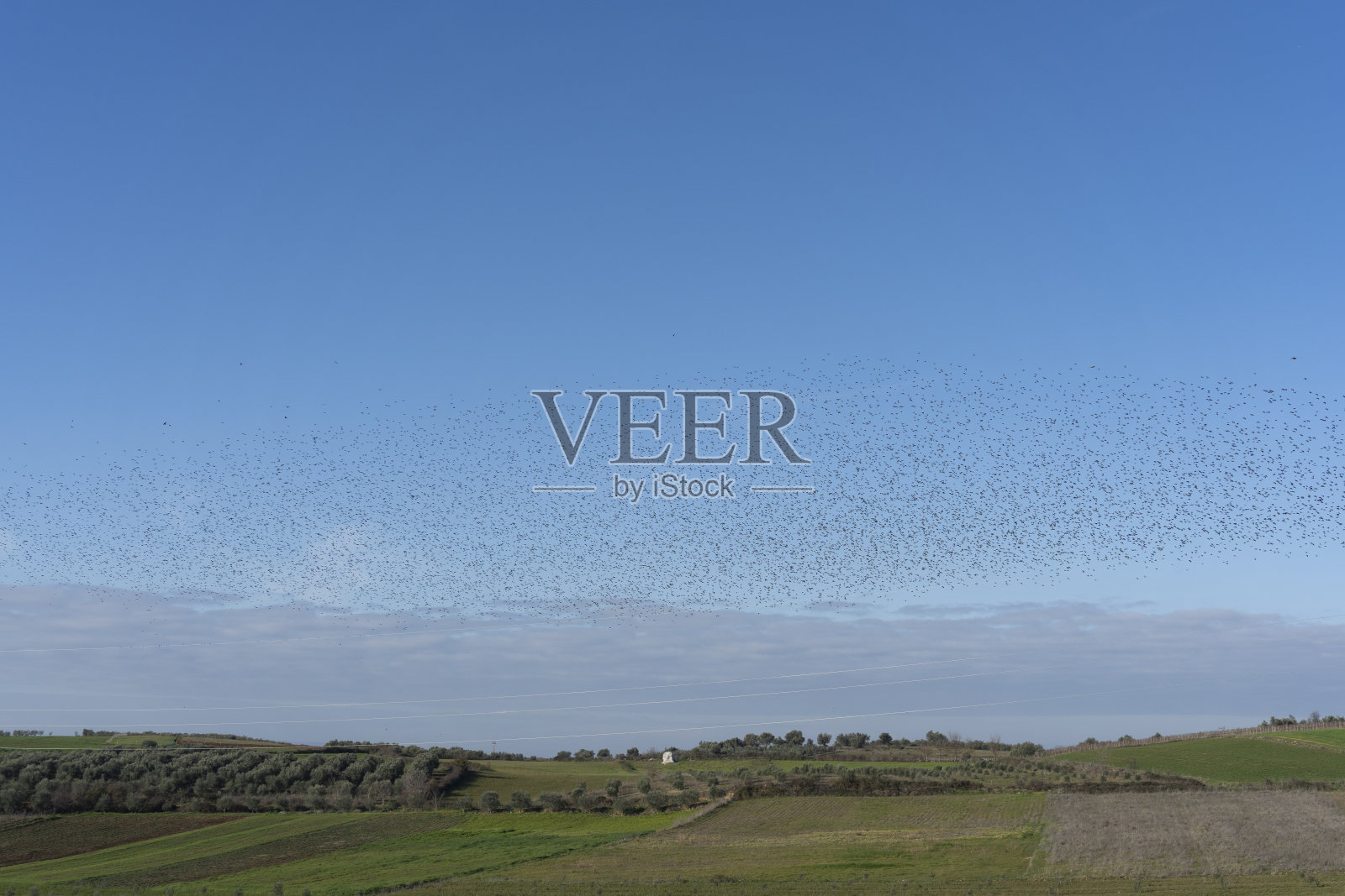 阿尔巴尼亚景观农场照片摄影图片