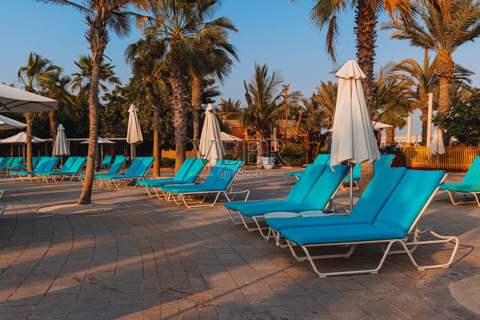 蓝色的床池与毛巾站在伞下,以美丽的棕榈树为背景,休息,度假,放松照片摄影图片