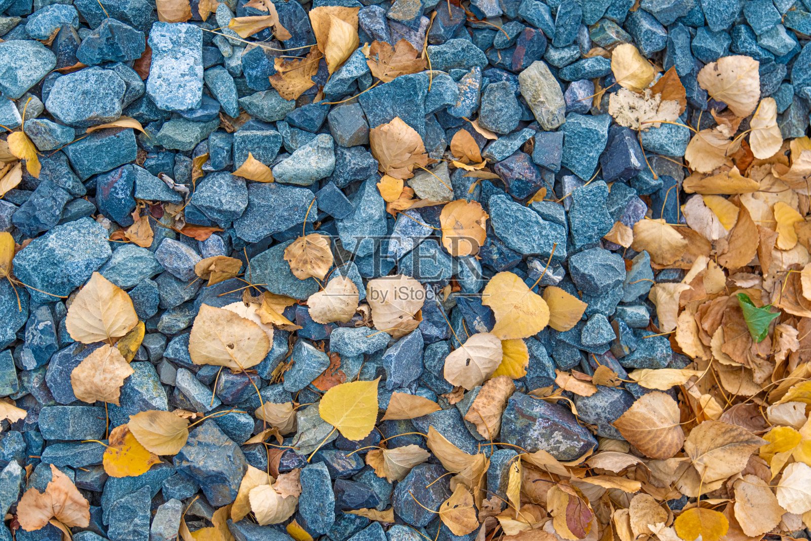 岩石和石屑带着棕色的秋叶照片摄影图片