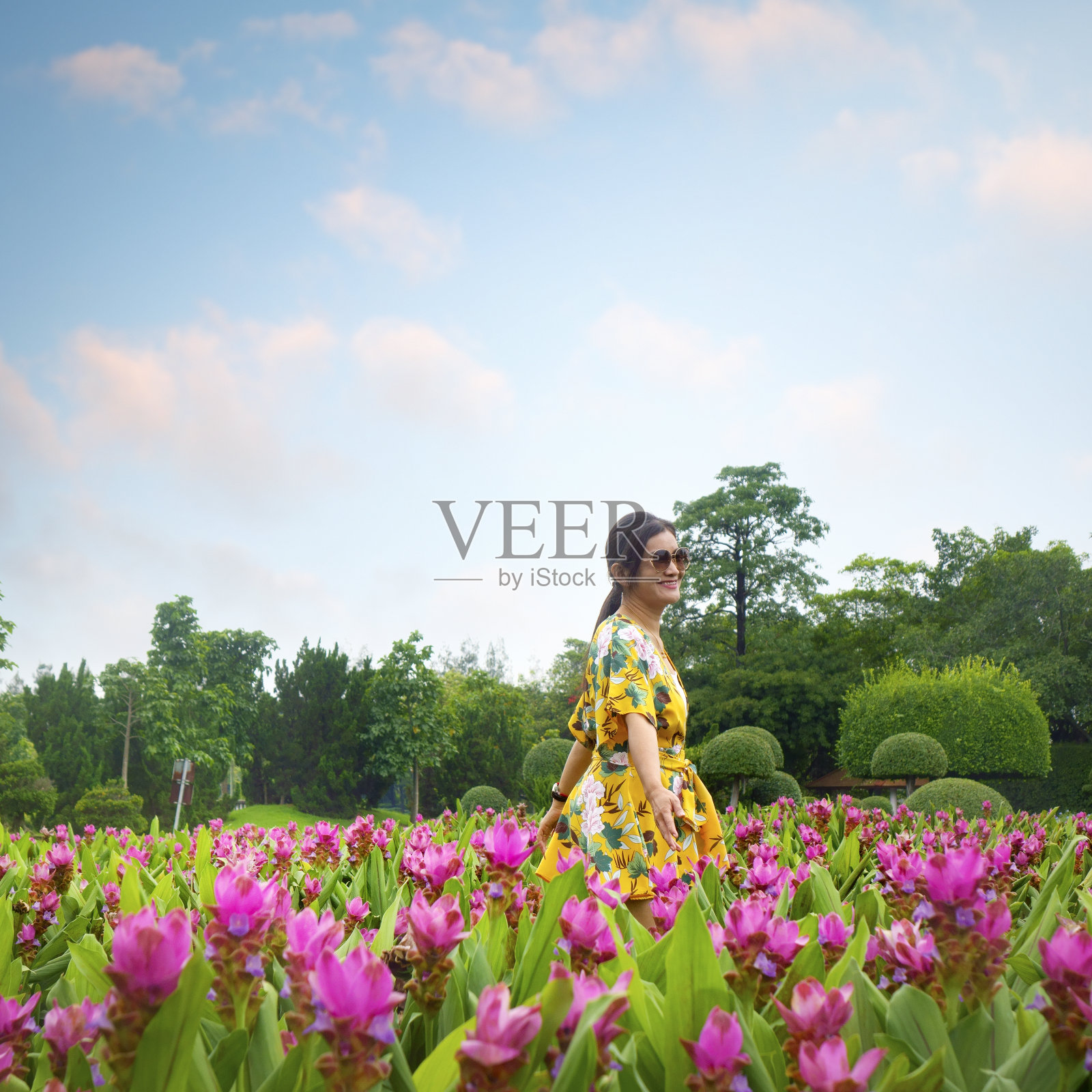 快乐的年轻女子在鲜花覆盖的田野照片摄影图片