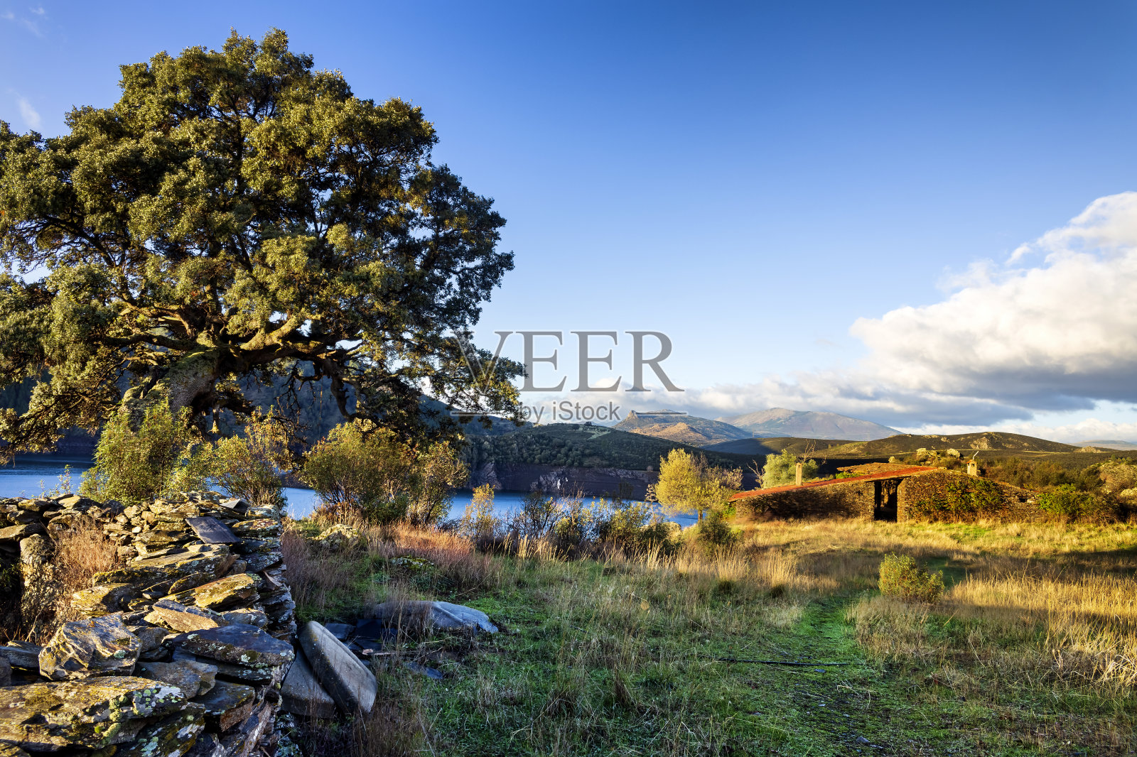 废墟中的房子照片摄影图片