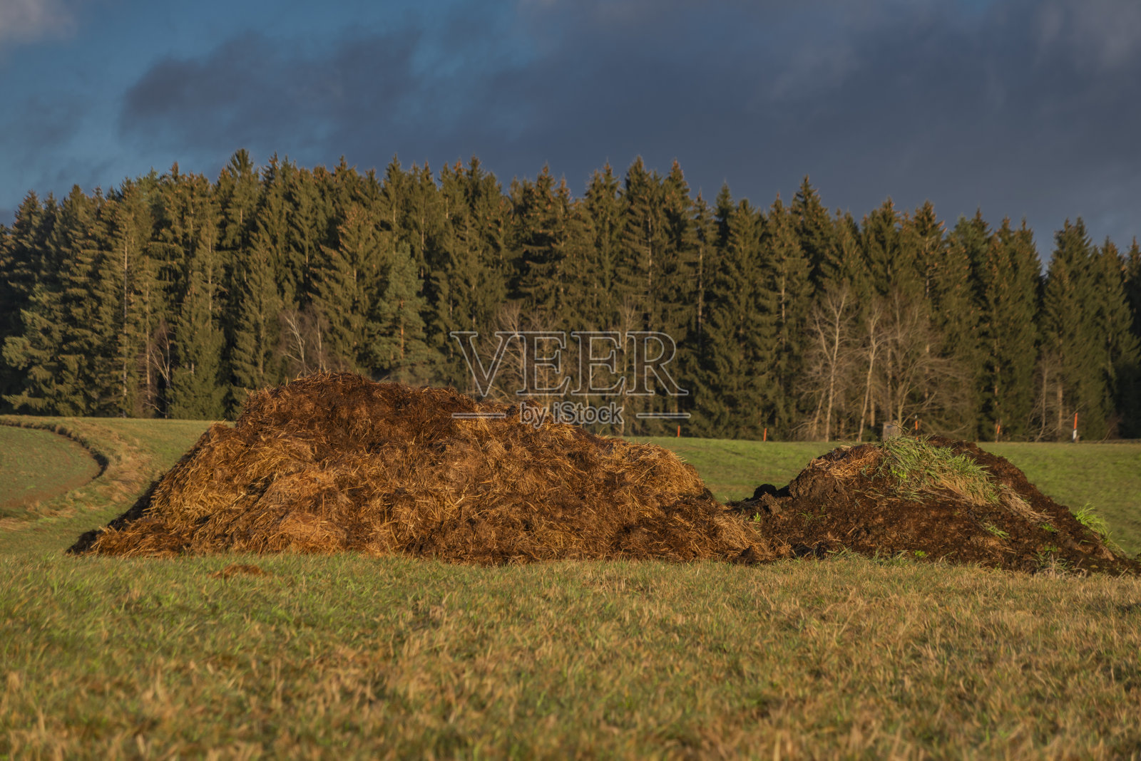 澳大利亚北部的风景在冬季阳光明媚的早晨没有雪照片摄影图片