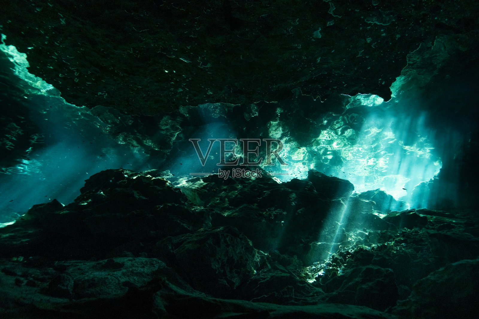 水下场景与阳光透过水照片摄影图片