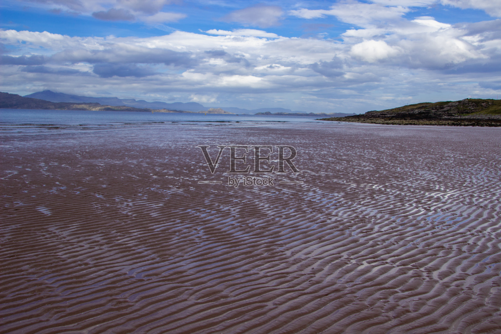 红砂照片摄影图片