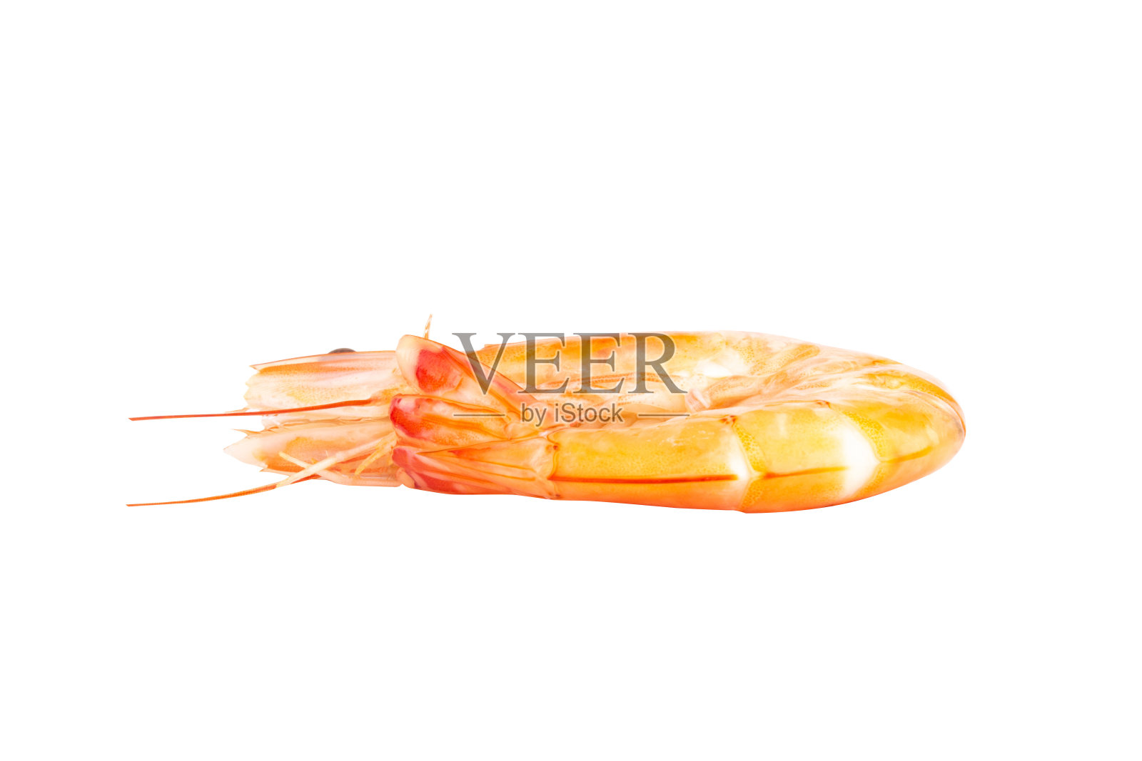 虾类食物橙色贝类孤立在白色背景上照片摄影图片