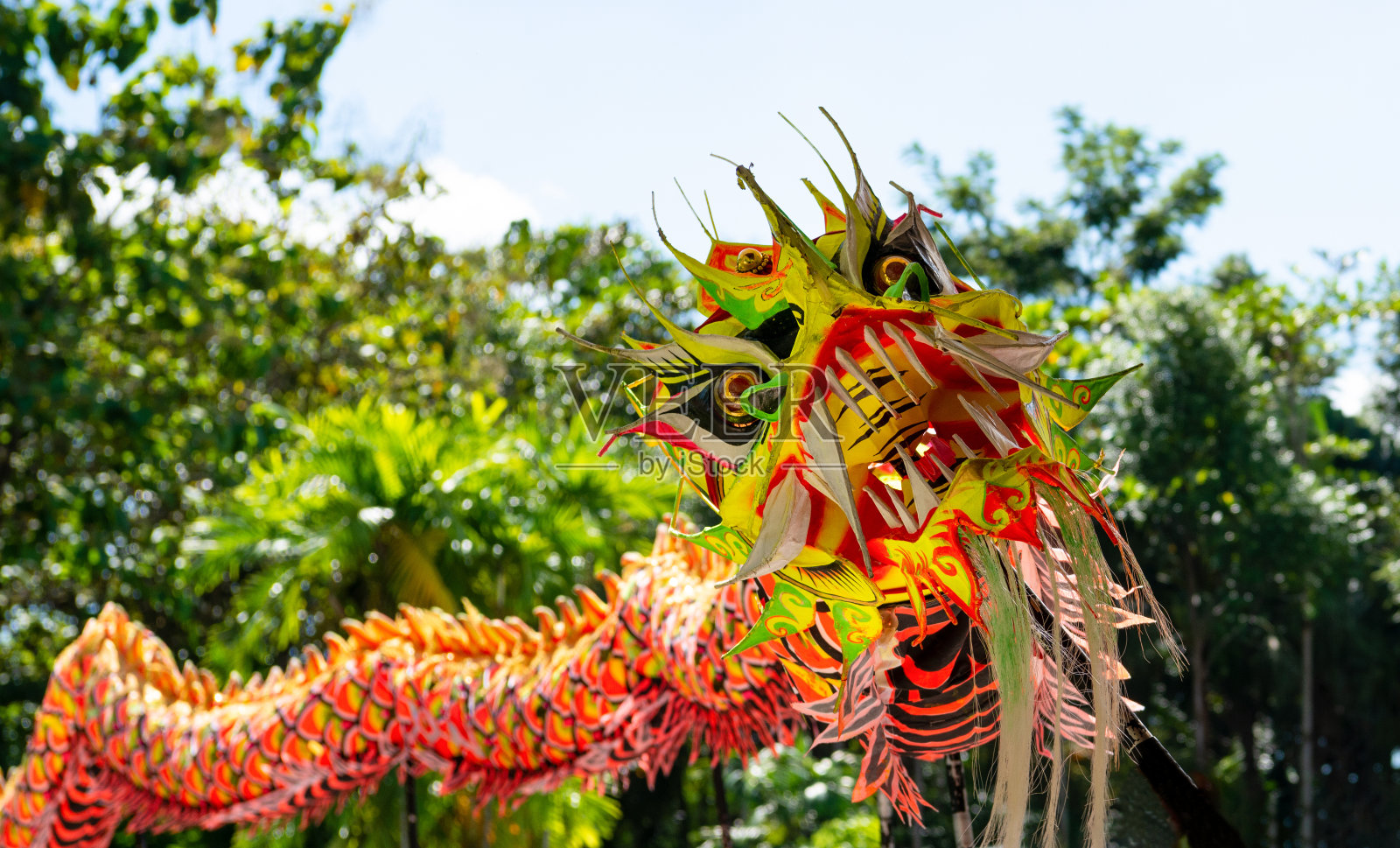 舞龙,中国新年照片摄影图片