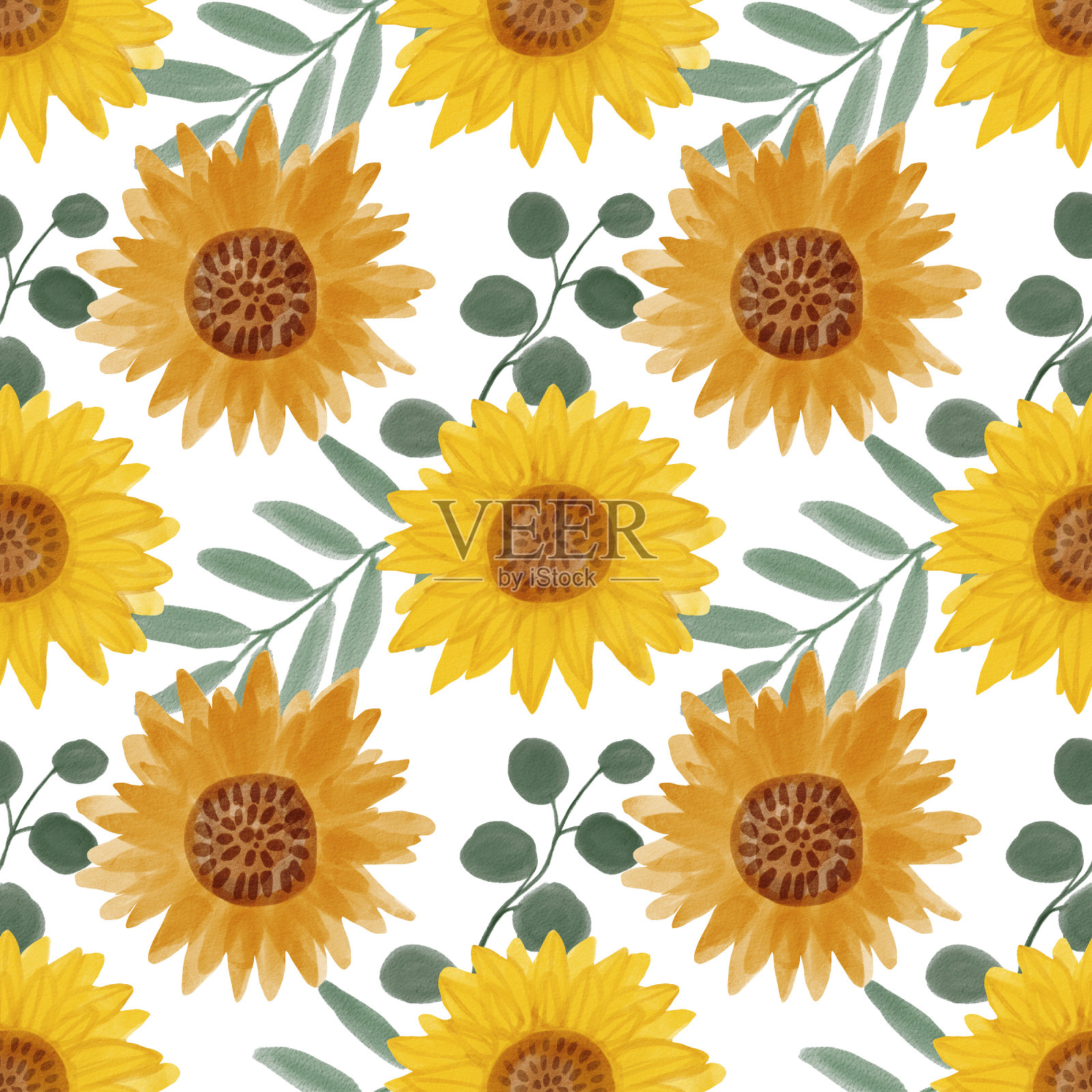 向日葵水彩无缝图案。黄花花园农家乐背景。夏季花,秋收花与花卉元素手绘插图在白色背景插画图片素材