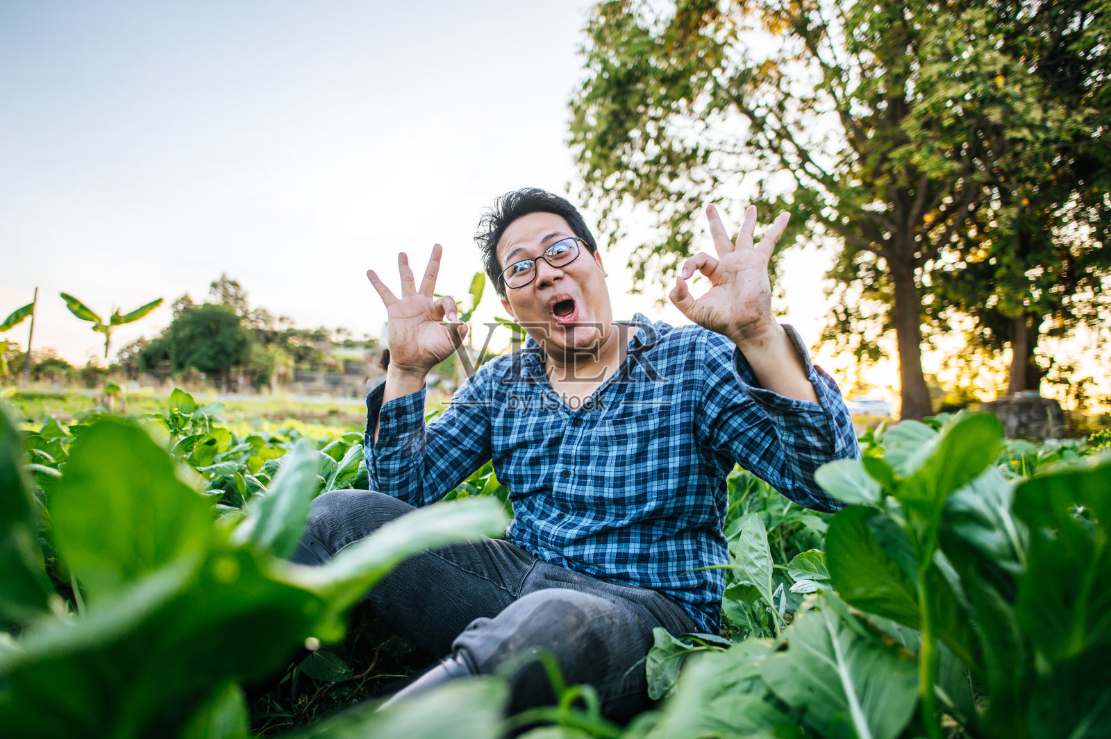 快乐的亚洲农民男子的肖像在田里工作。农业商业和生活方式概念。照片摄影图片