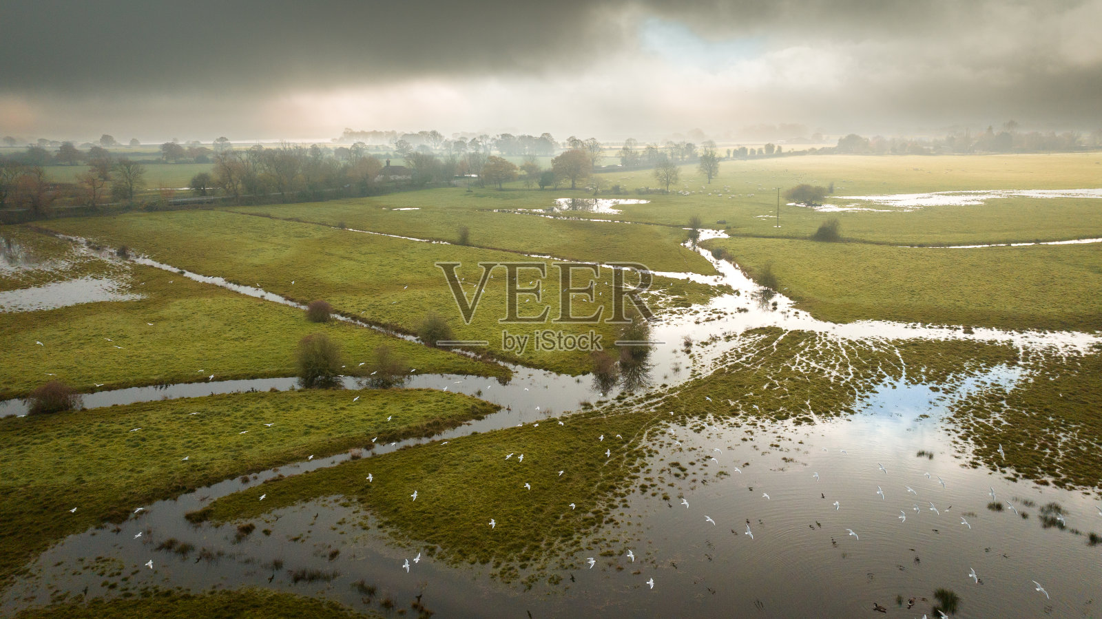 英国西苏塞克斯的普尔伯勒,薄雾笼罩着被洪水淹没的田野照片摄影图片