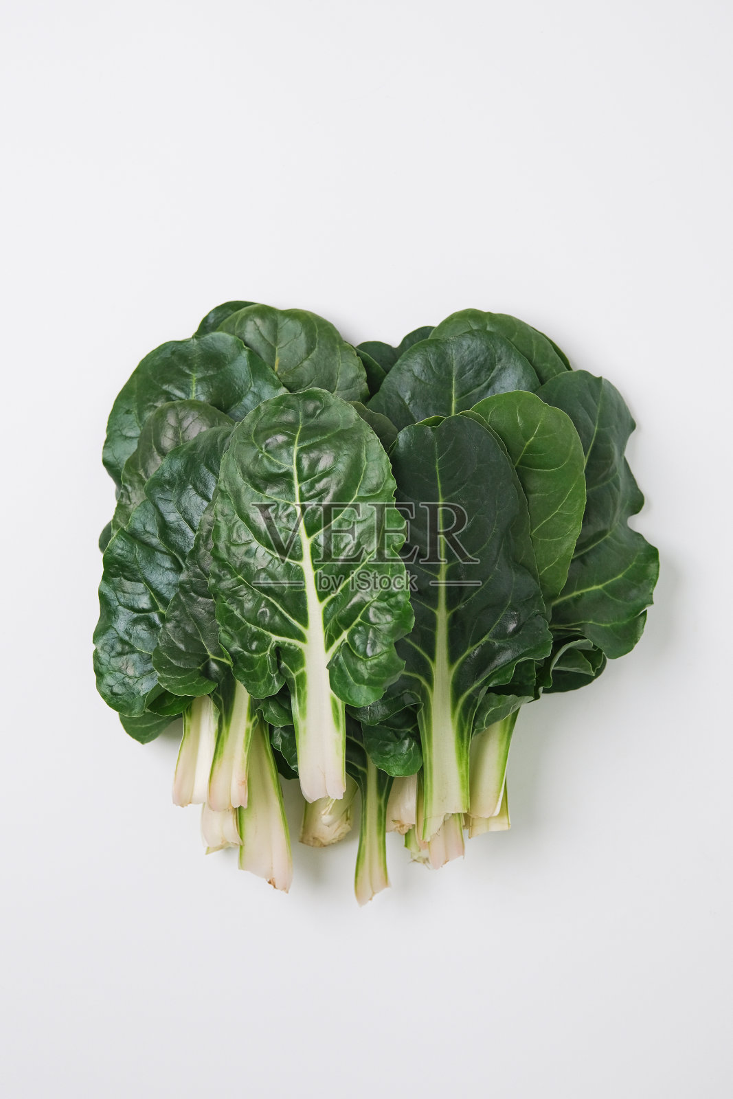 甜菜照片摄影图片