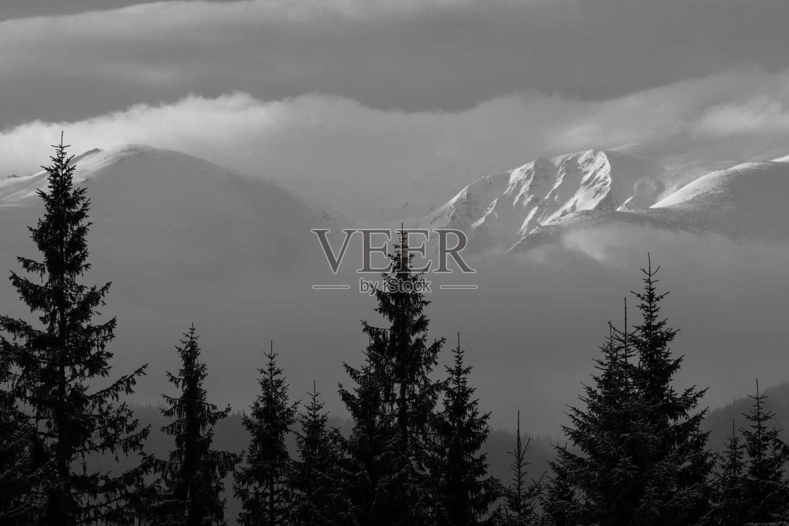 引人注目的冬季山地景观。白雪覆盖的朦胧的山峰和山丘。黑白照片。自然概念背景。照片摄影图片