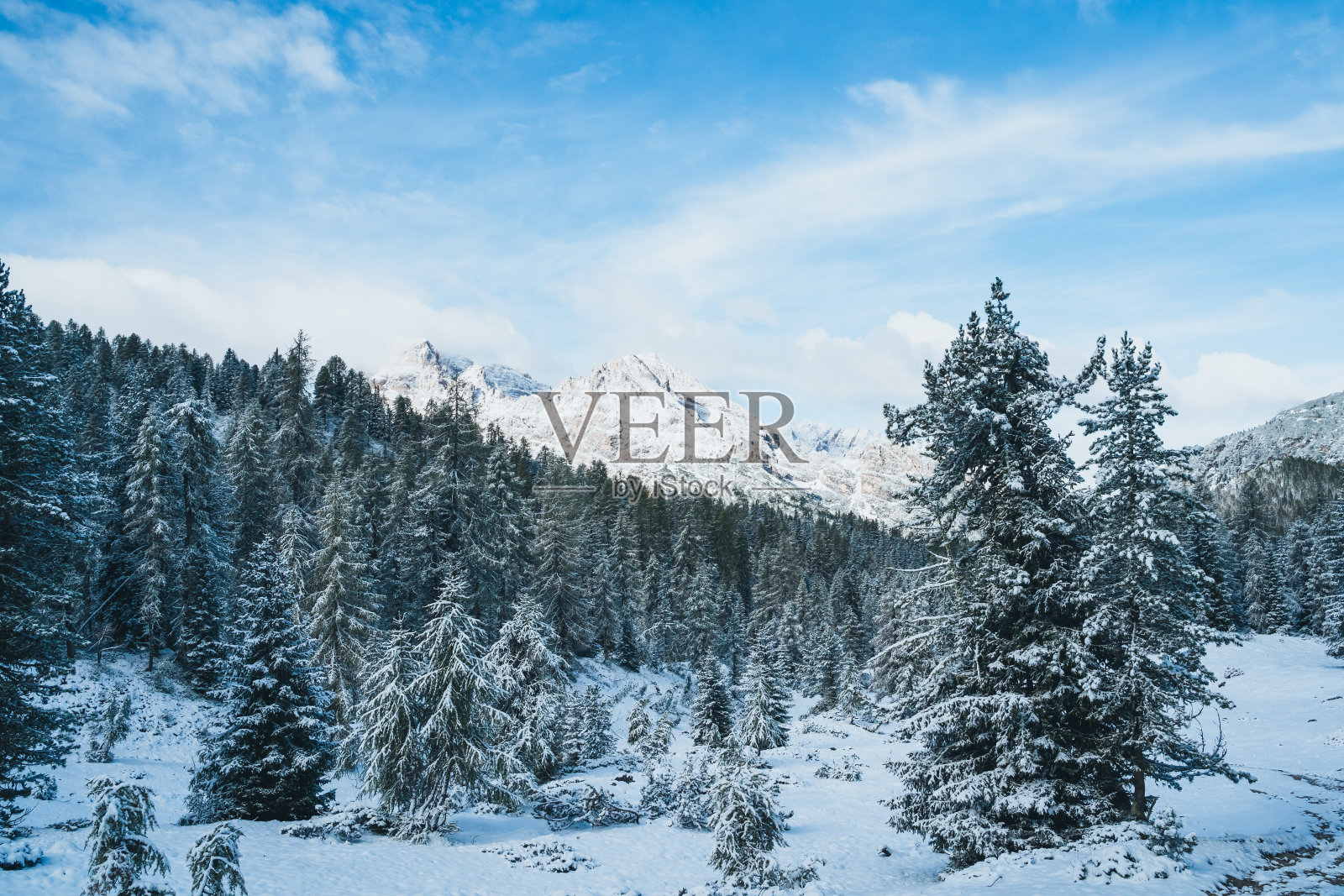 意大利拉瓦雷多Tre Cime di Lavaredo的白云石全景照片摄影图片