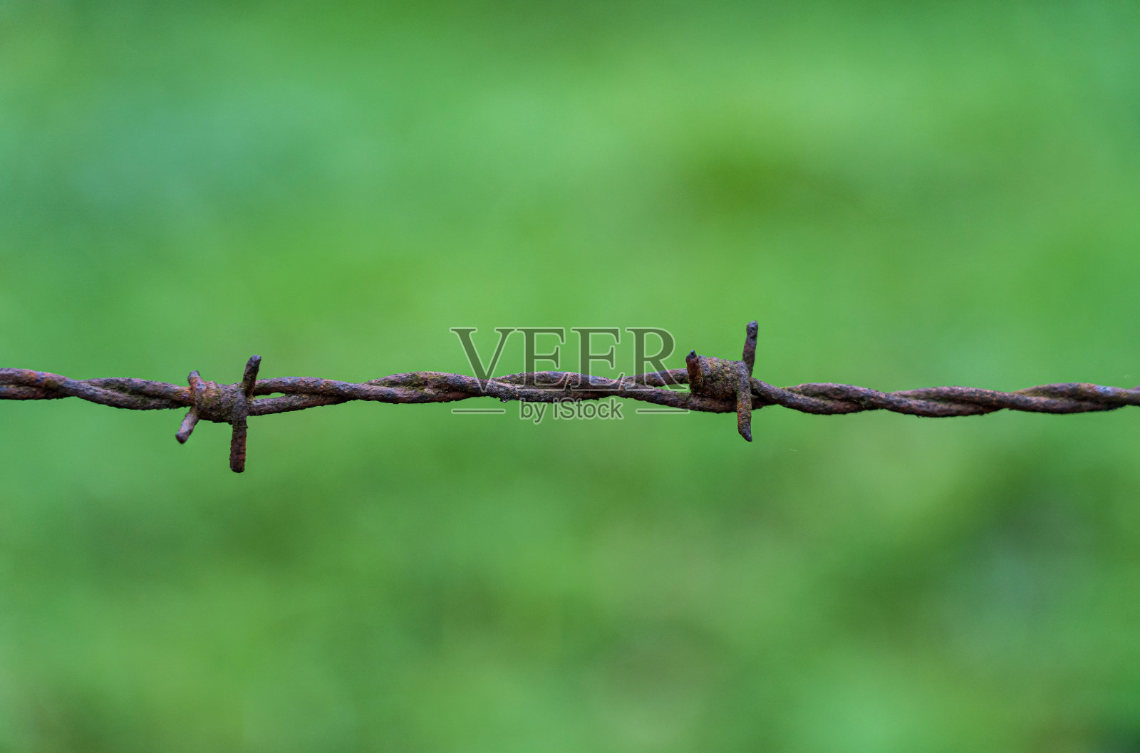 沿着绿色田野的带刺铁丝栅栏照片摄影图片