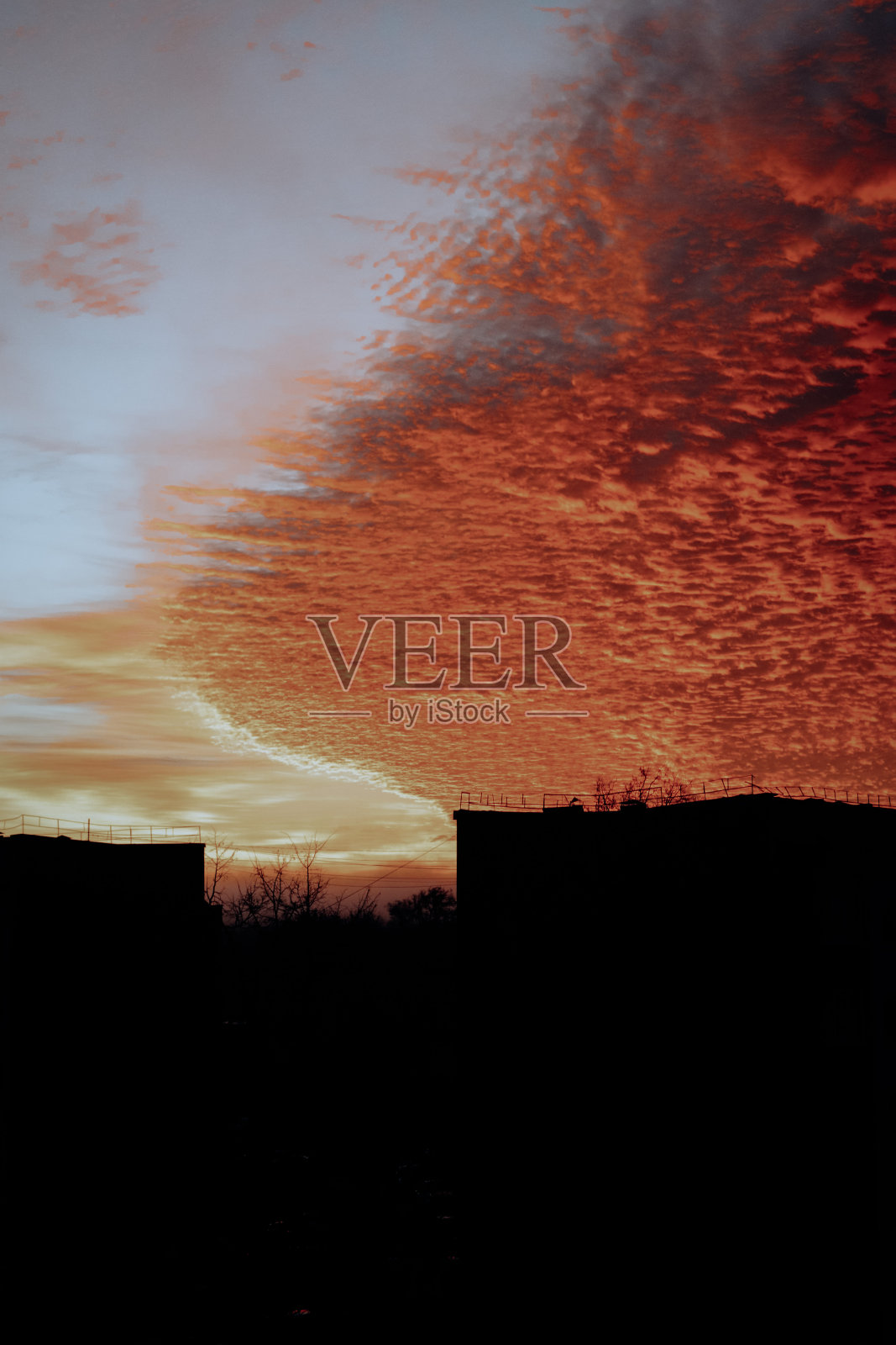 日出照片摄影图片