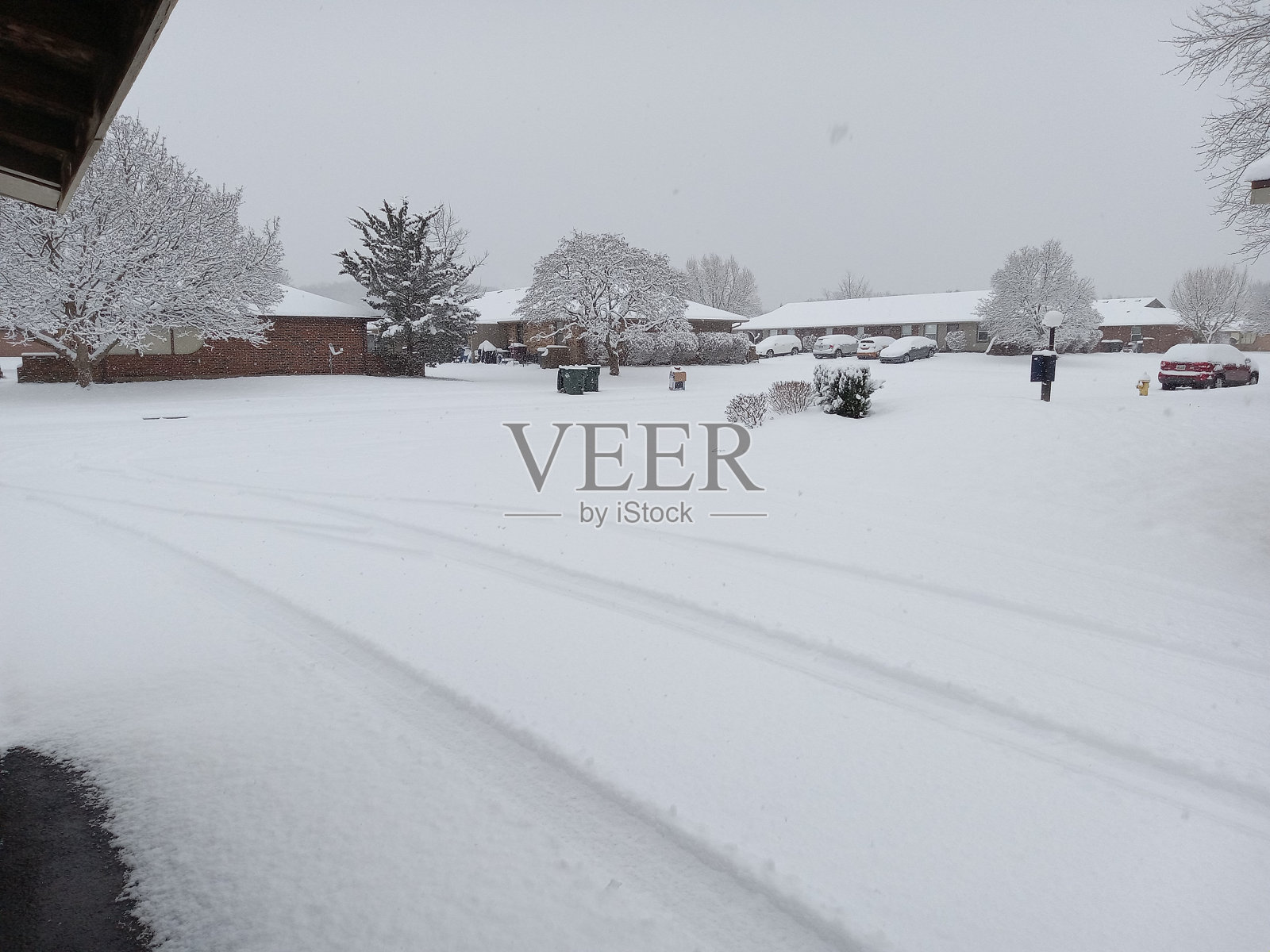 雪照片摄影图片