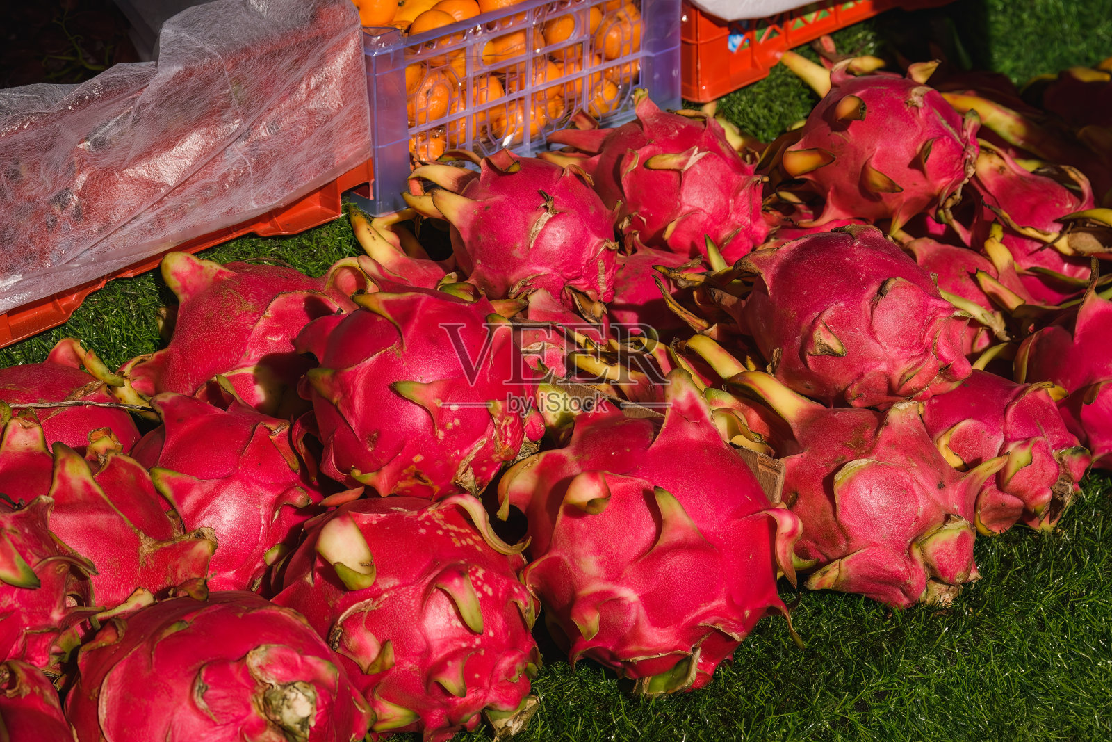 一组火龙果或火龙果在街头市场出售,科兰塔,泰国。照片摄影图片