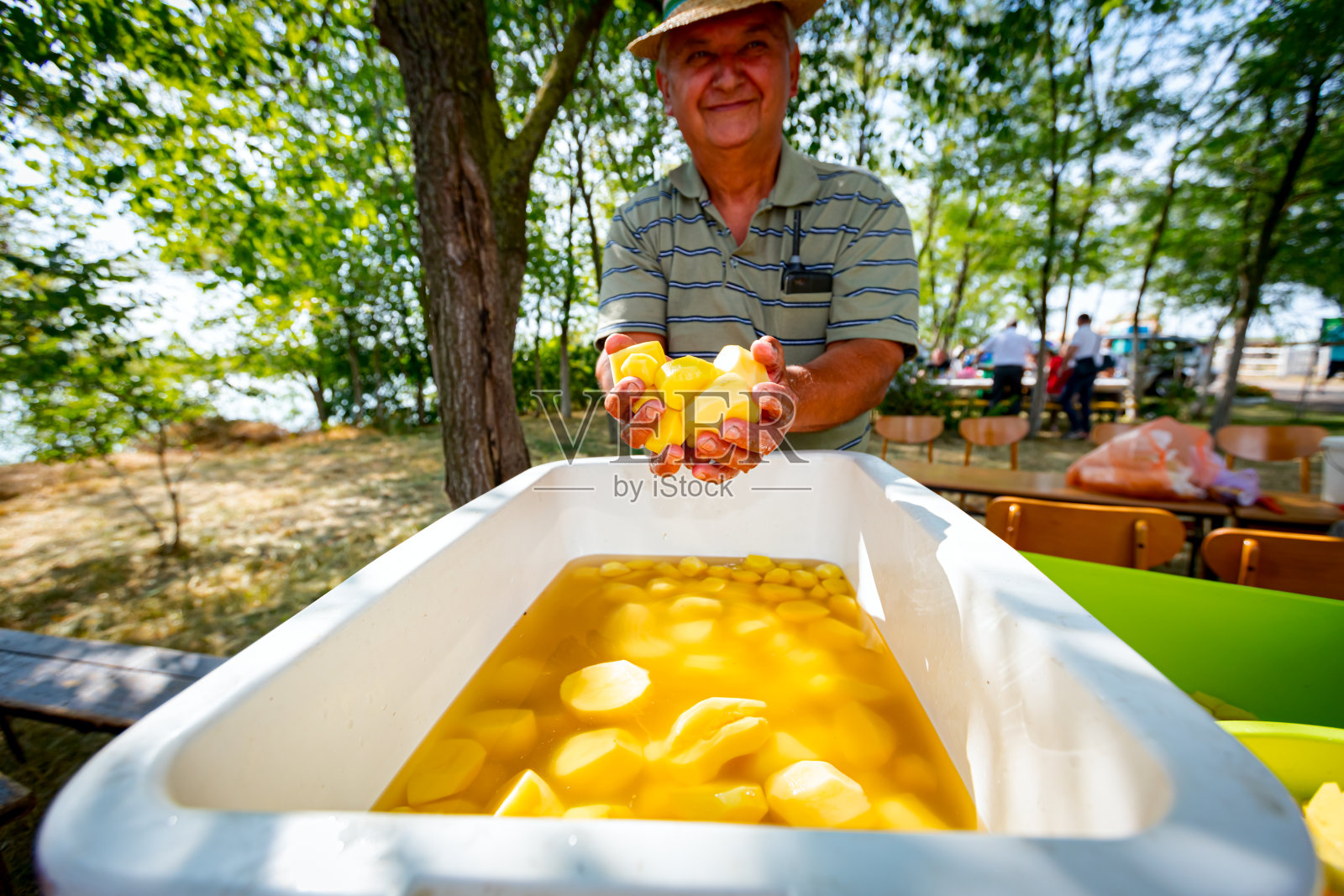 老人手里拿着新鲜的削皮干净的小土豆照片摄影图片