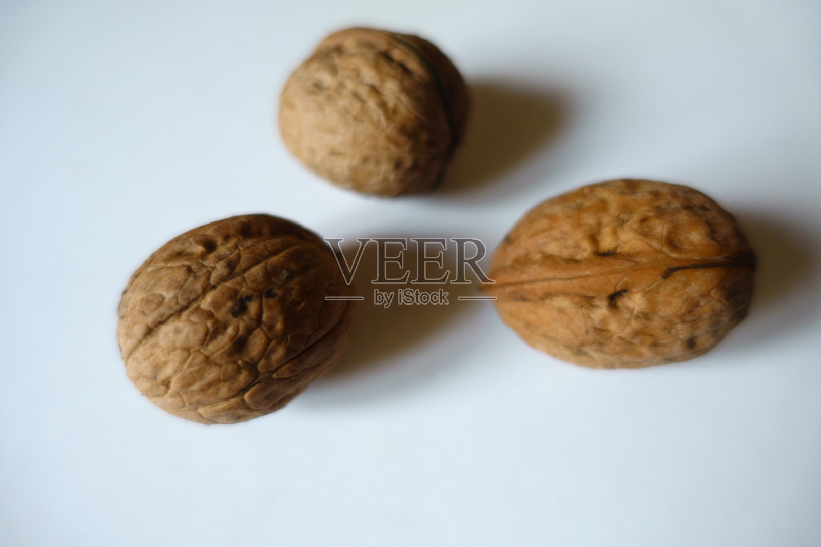 三颗成熟的棕色未去壳的波斯核桃果实照片摄影图片