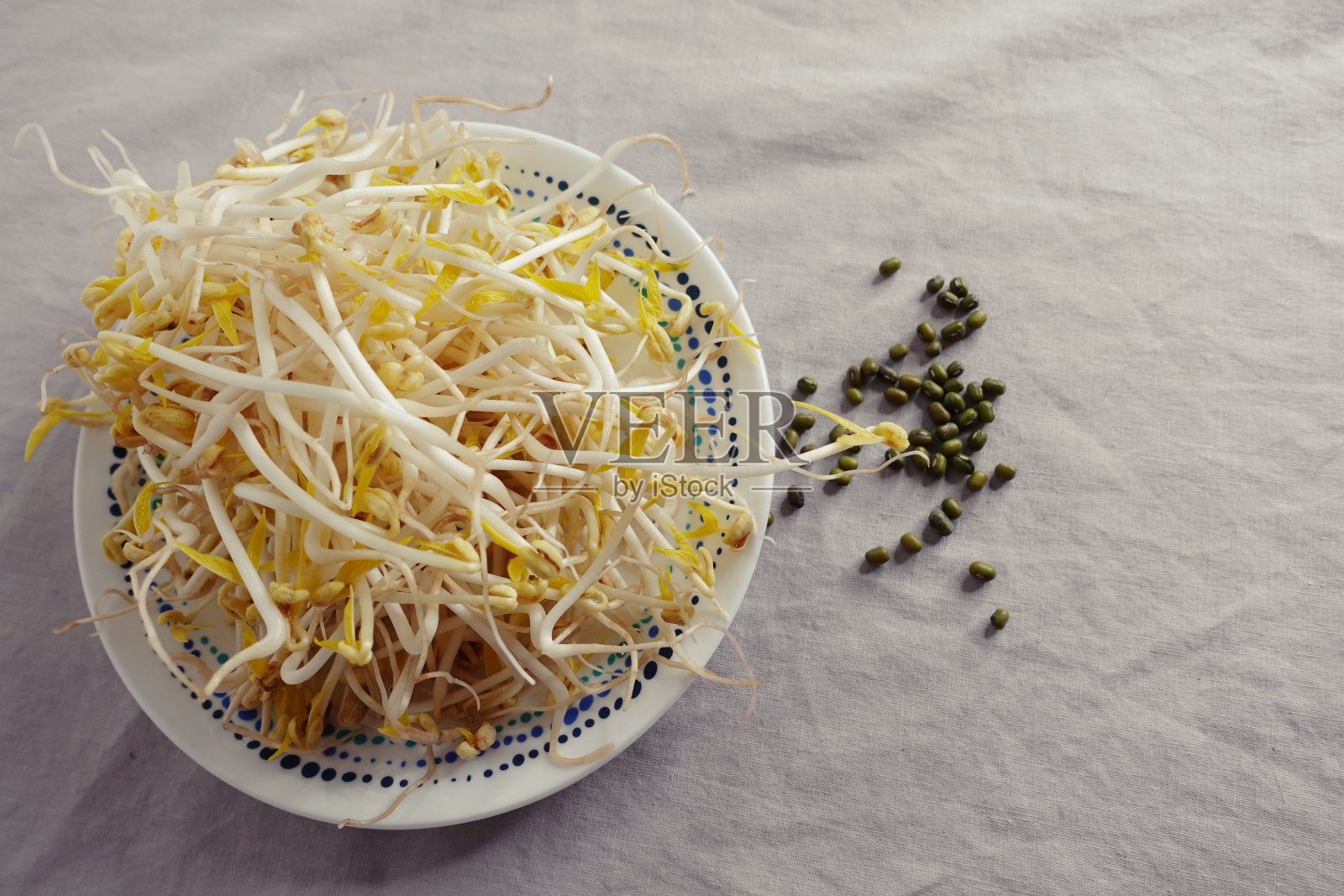 豆芽照片摄影图片