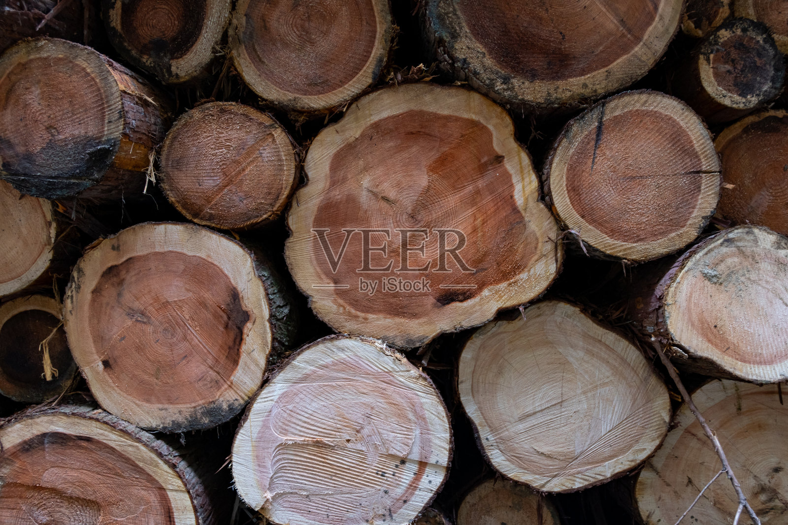 堆叠的日志照片摄影图片