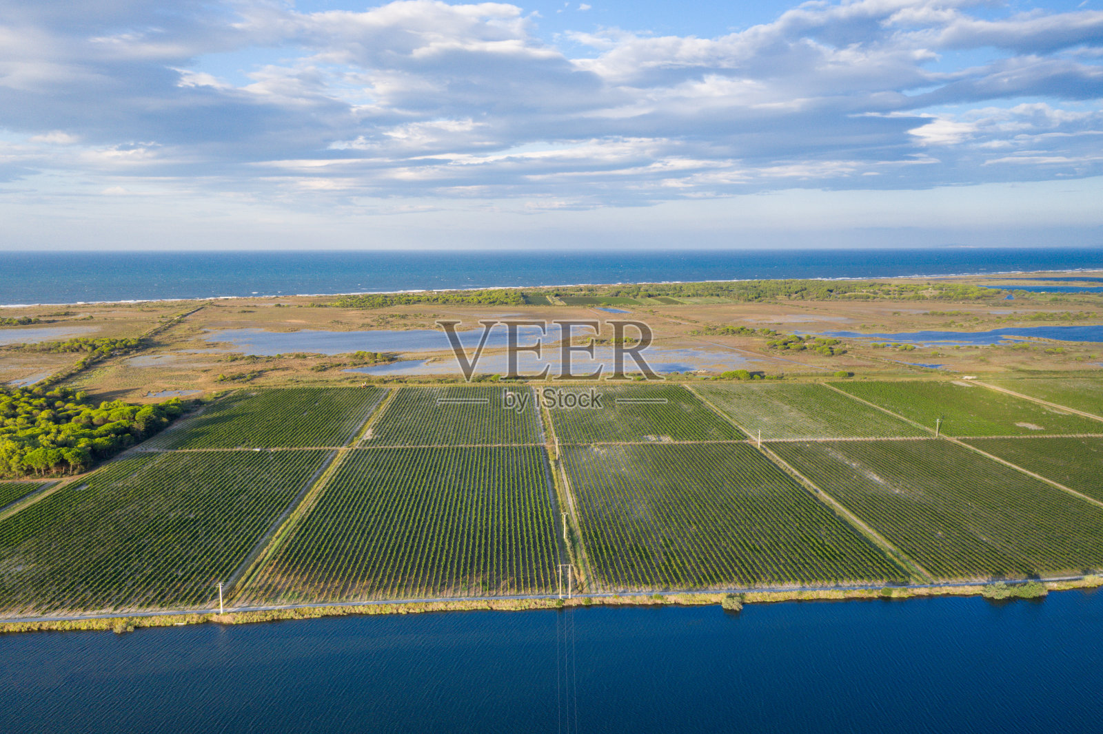 Camargue葡萄园照片摄影图片