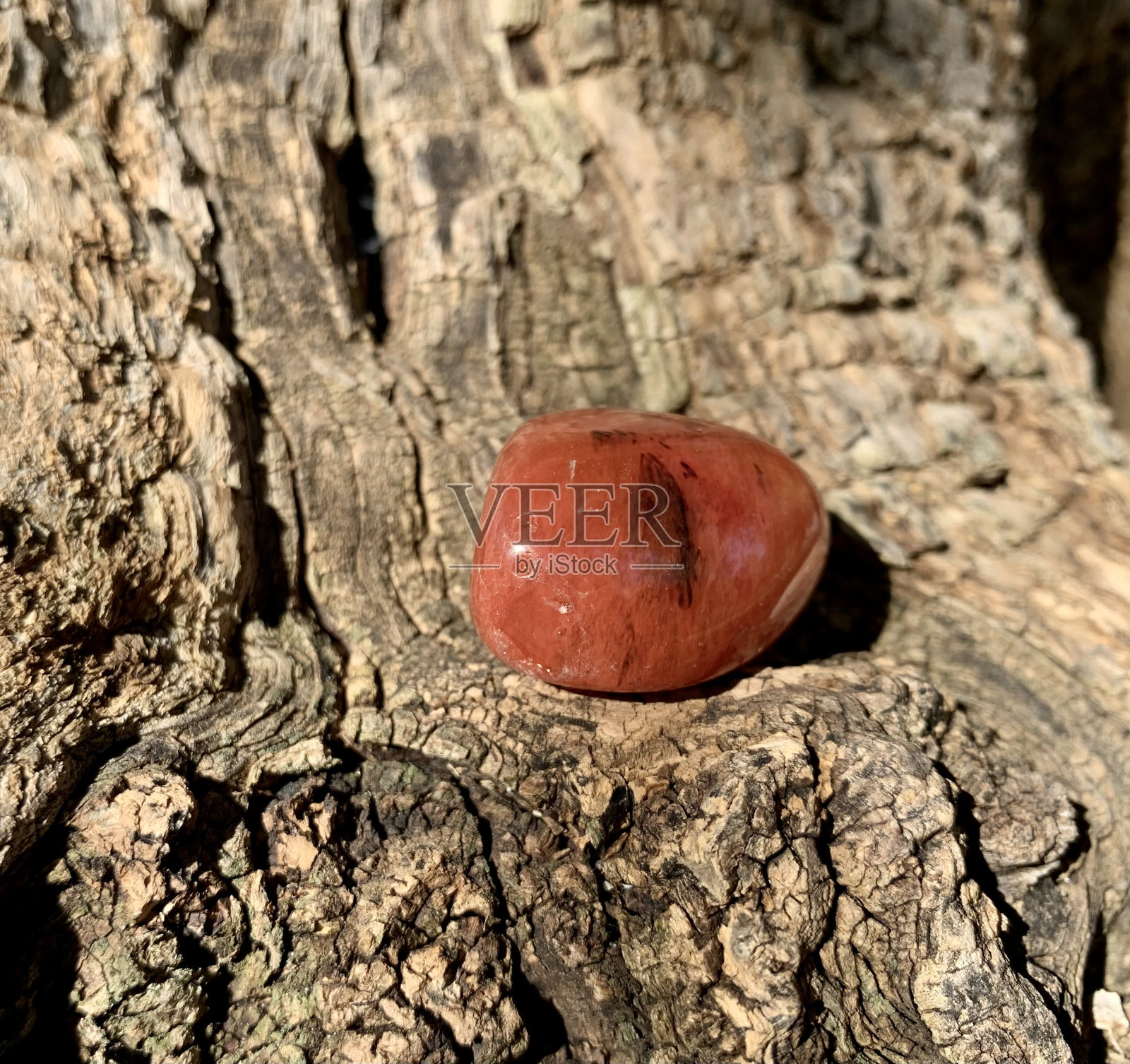 红色碧玉树干背景照片摄影图片