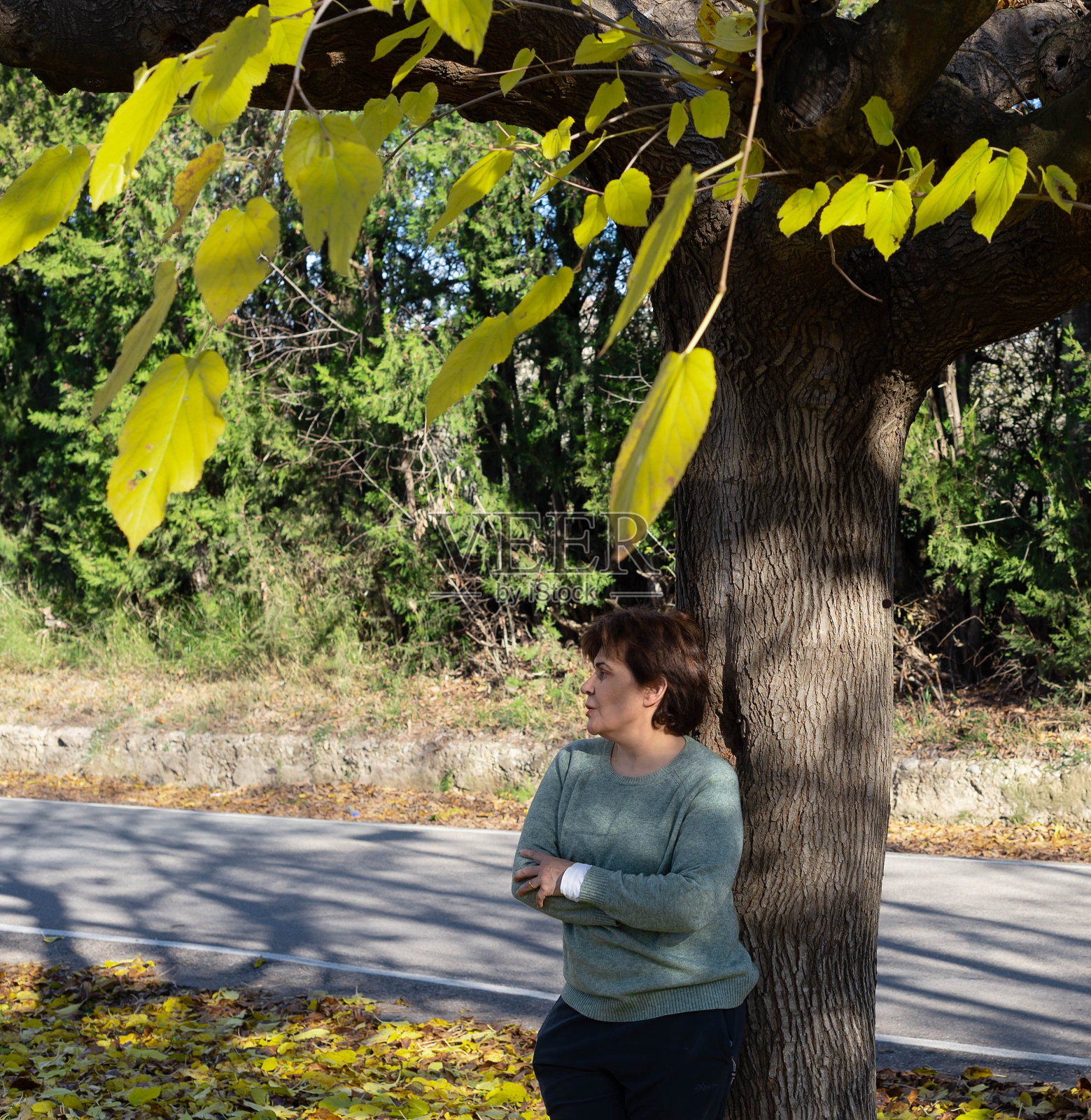 一个晴朗的冬日照片摄影图片