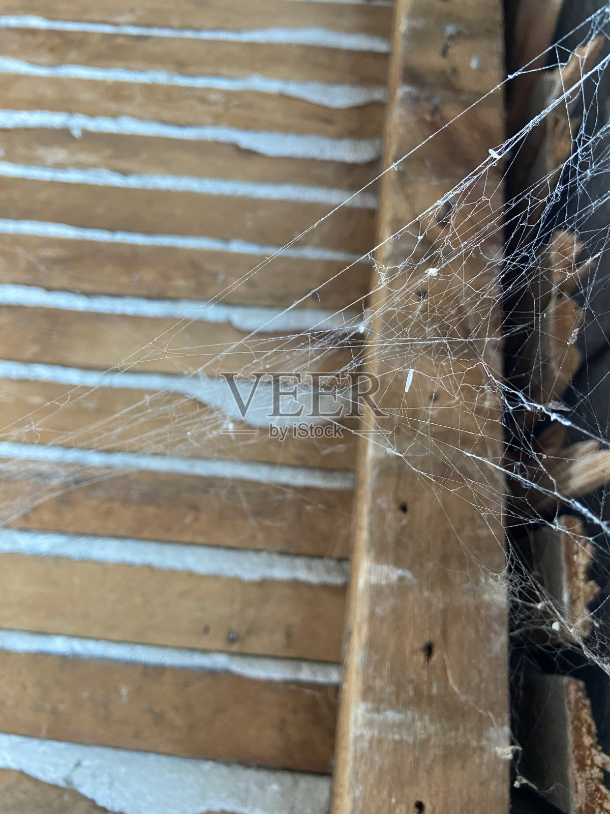 老房子里废弃的蜘蛛网照片摄影图片