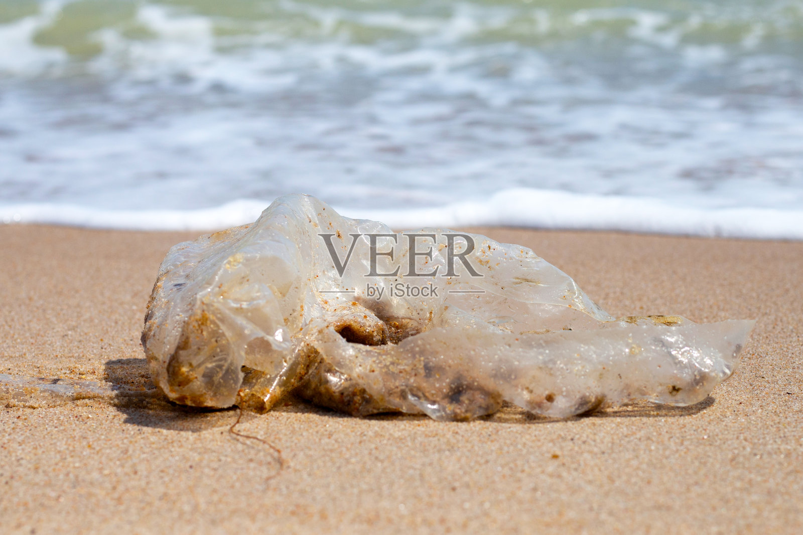 塑料袋污染海滩照片摄影图片